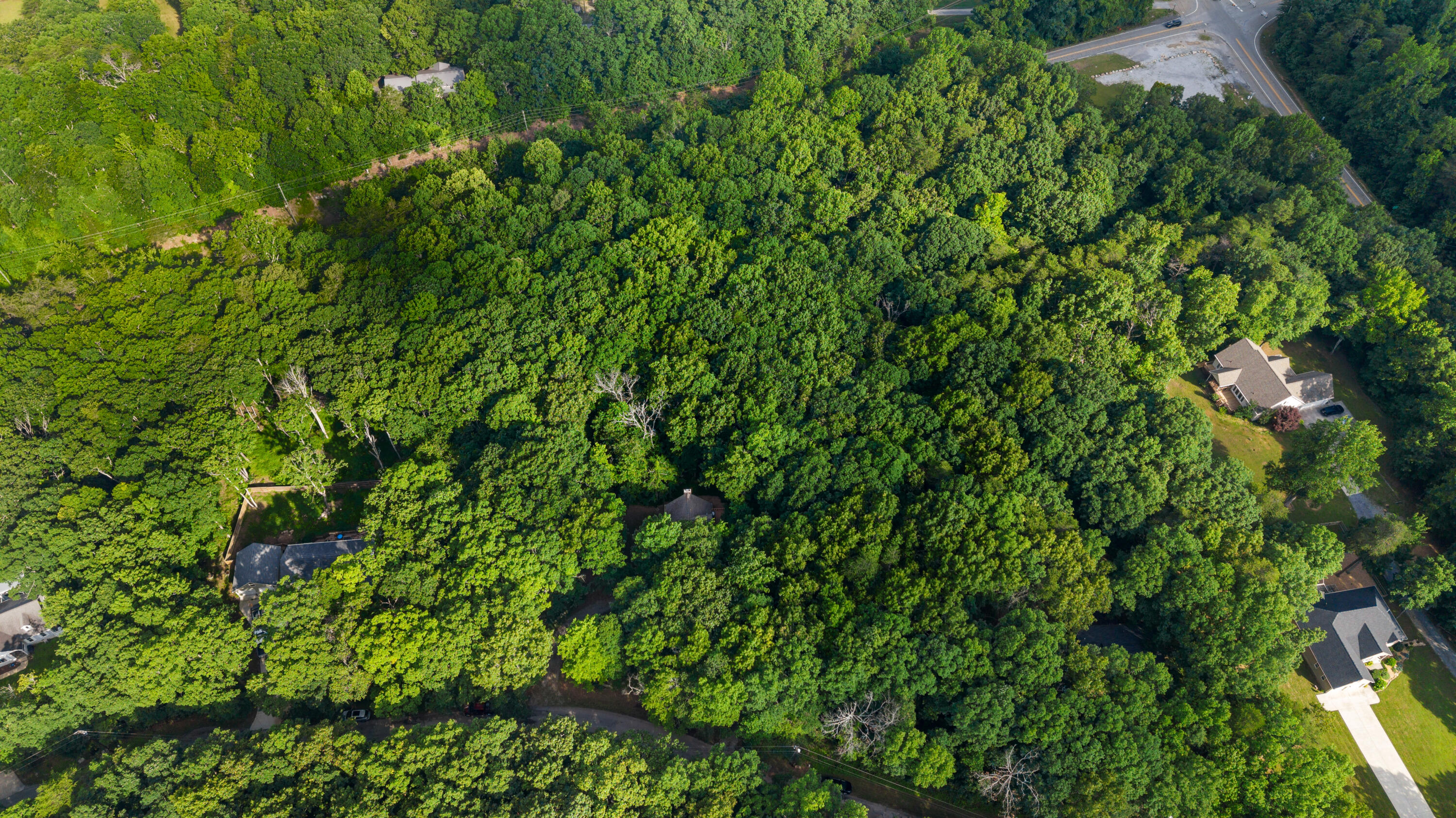 158 Lookout Drive