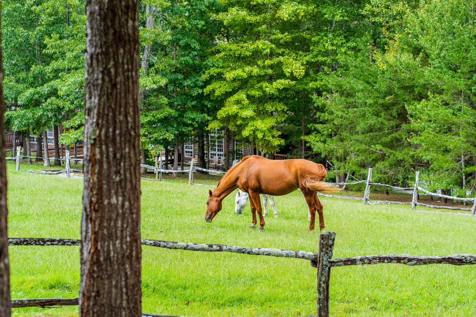 0 Still Creek Road, Lot 2