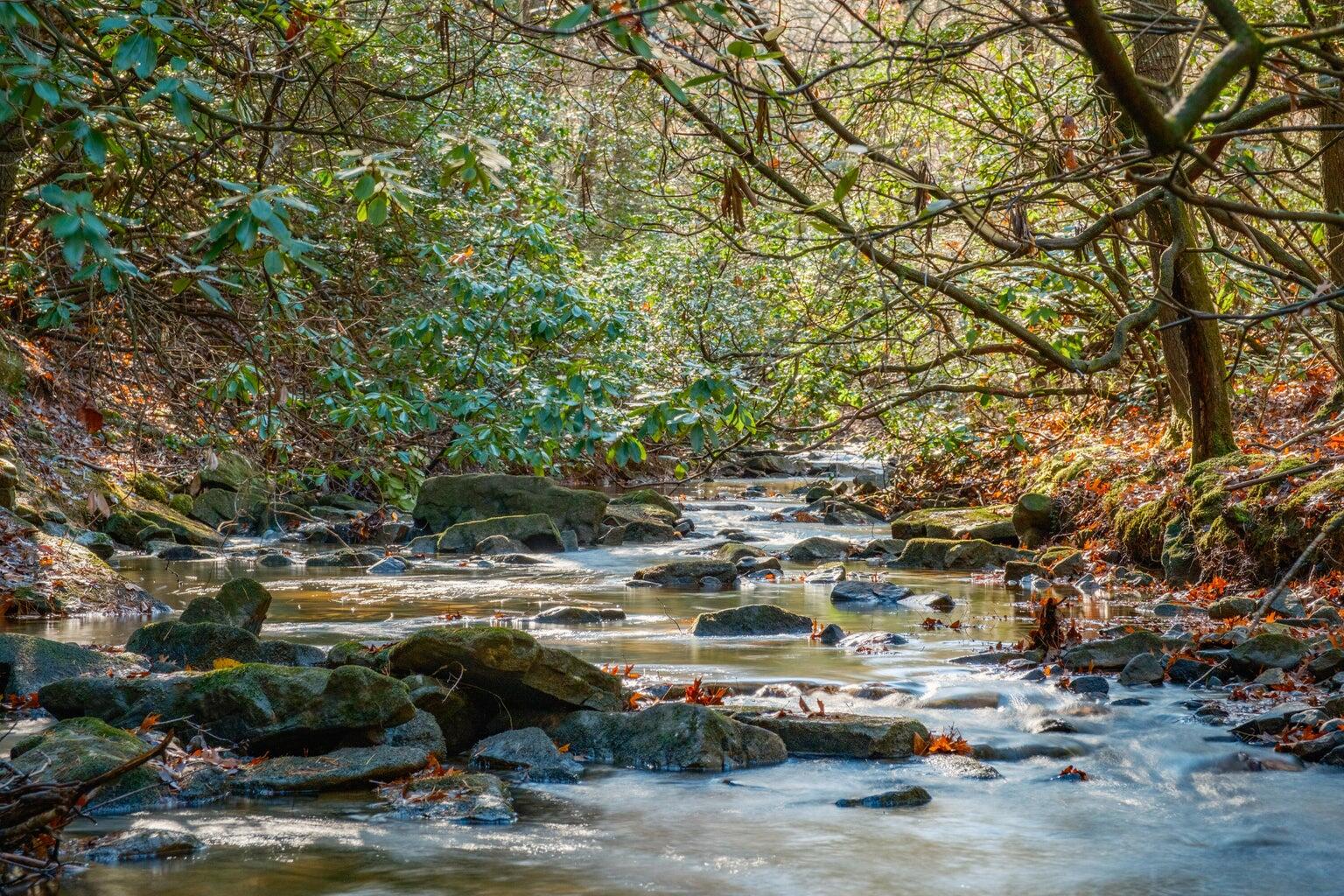 0 Still Creek Road, Lot 2