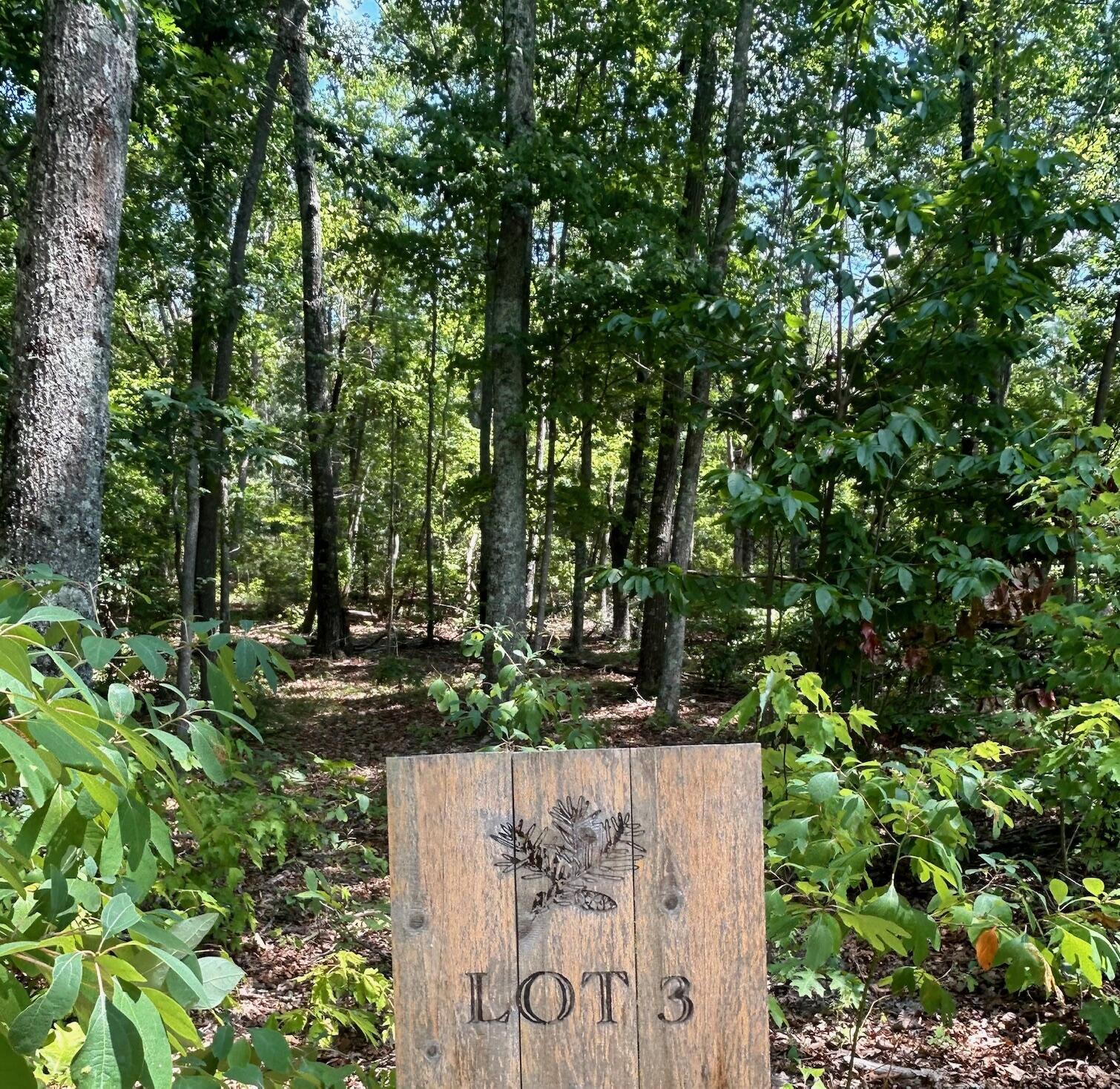 0 Still Creek Road, Lot 3