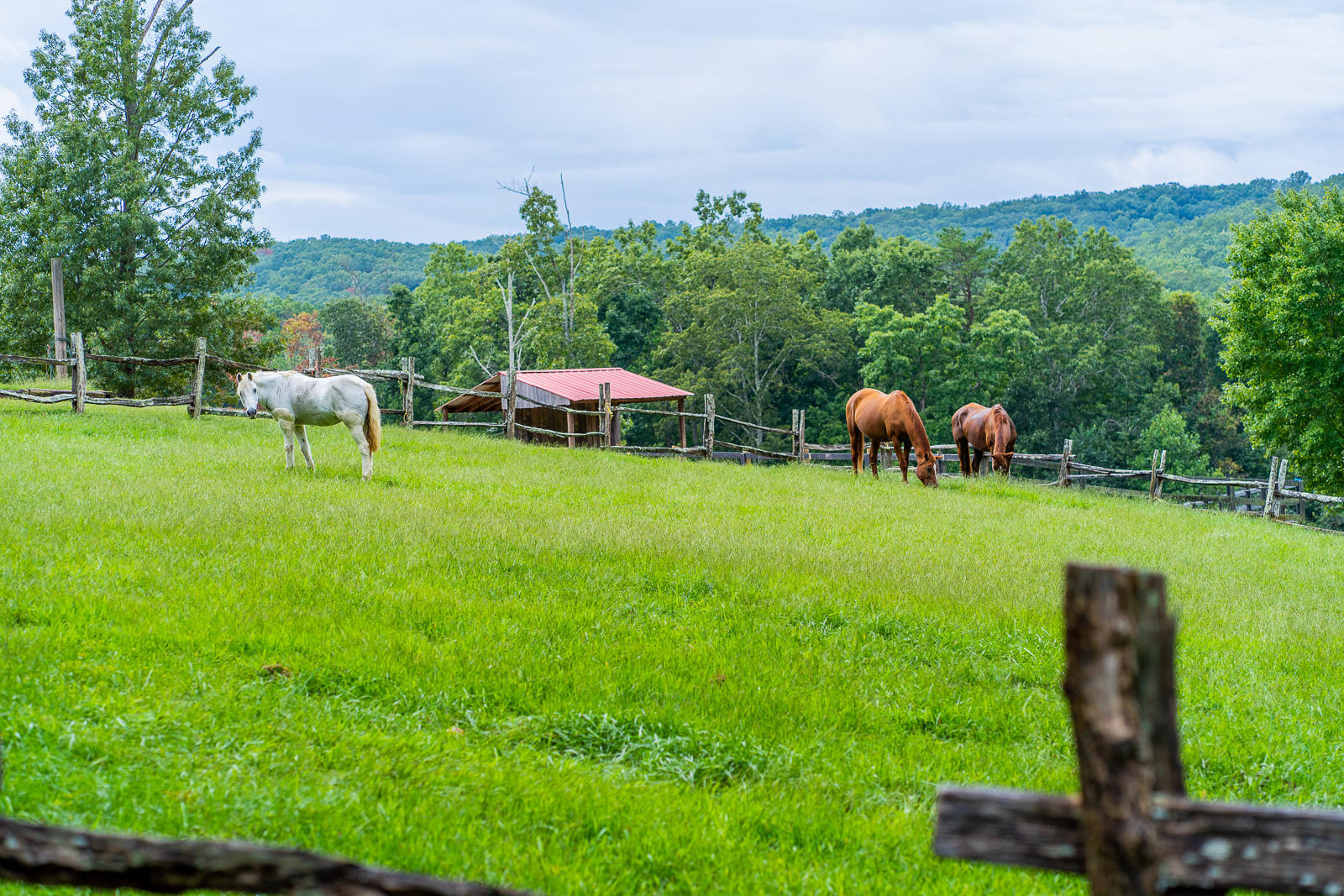 0 Still Creek Road, Lot 3