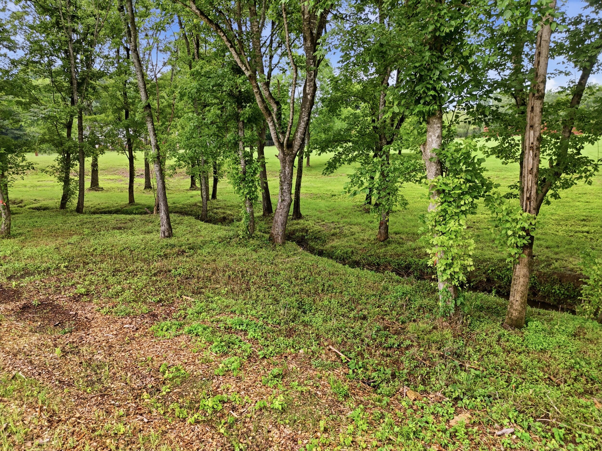 1 Classic Trail, 1