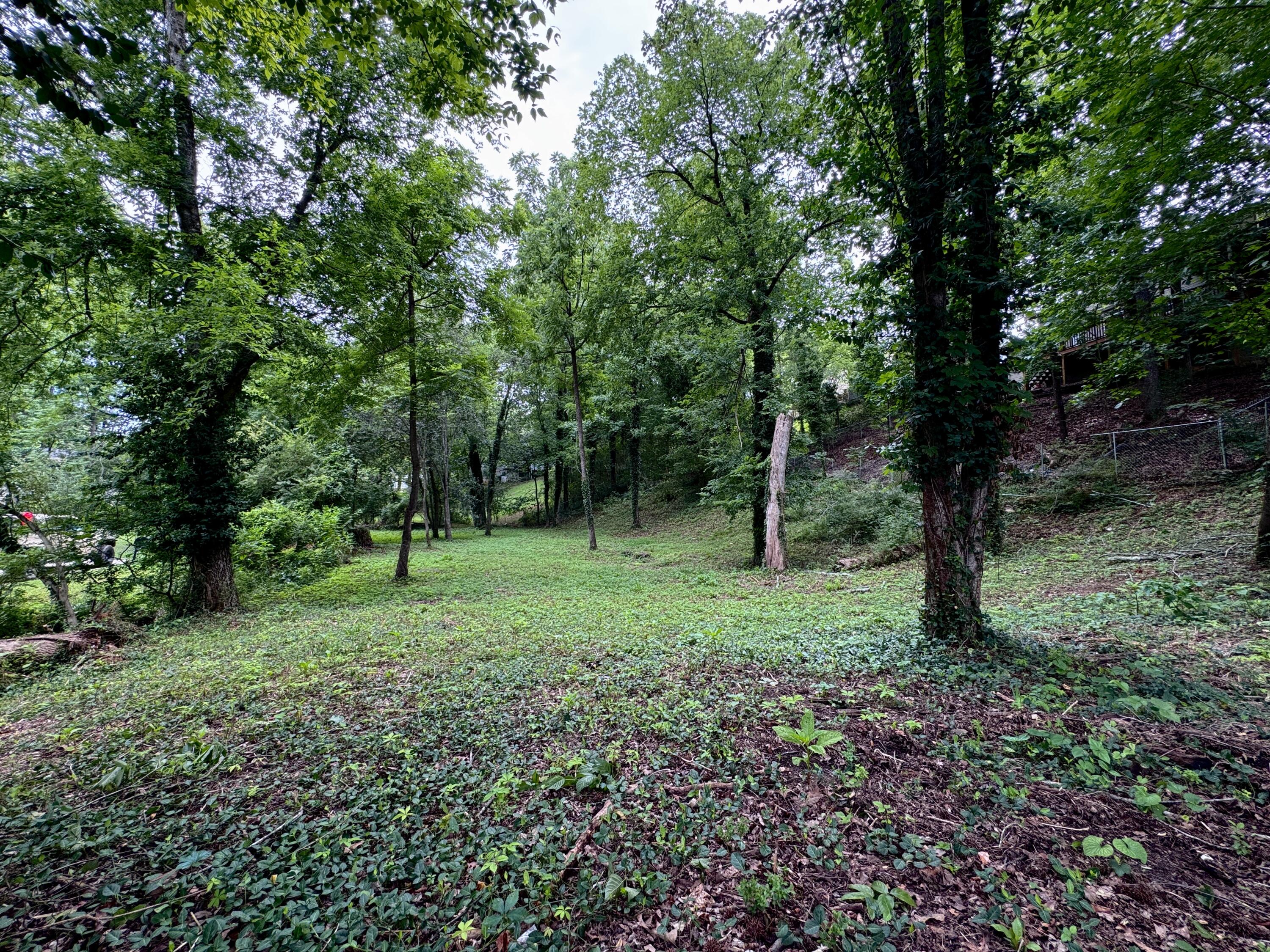 6733 Moss Lake Drive