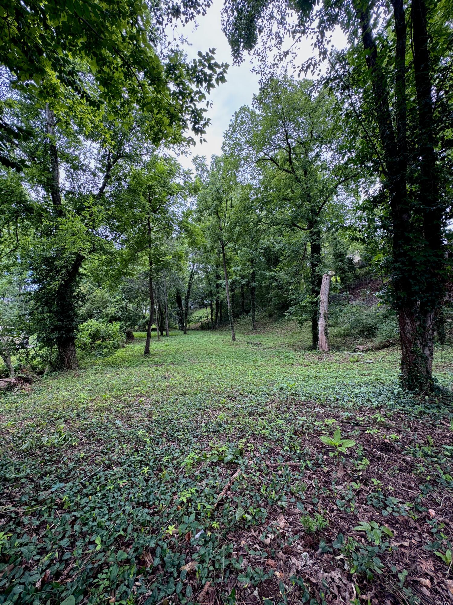 6733 Moss Lake Drive
