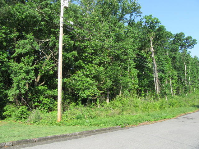 00 Hickory Ridge Trail, 222