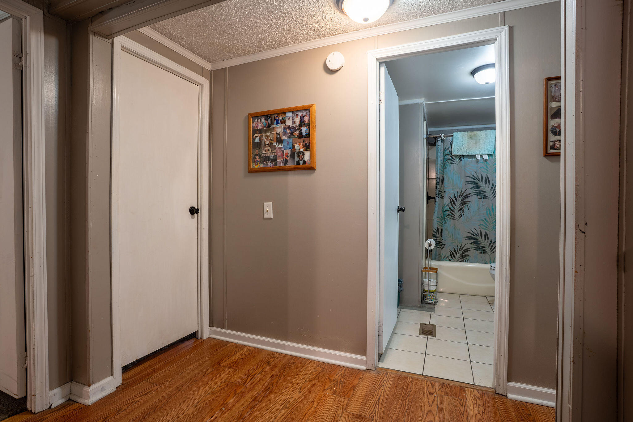 127 County Road 309