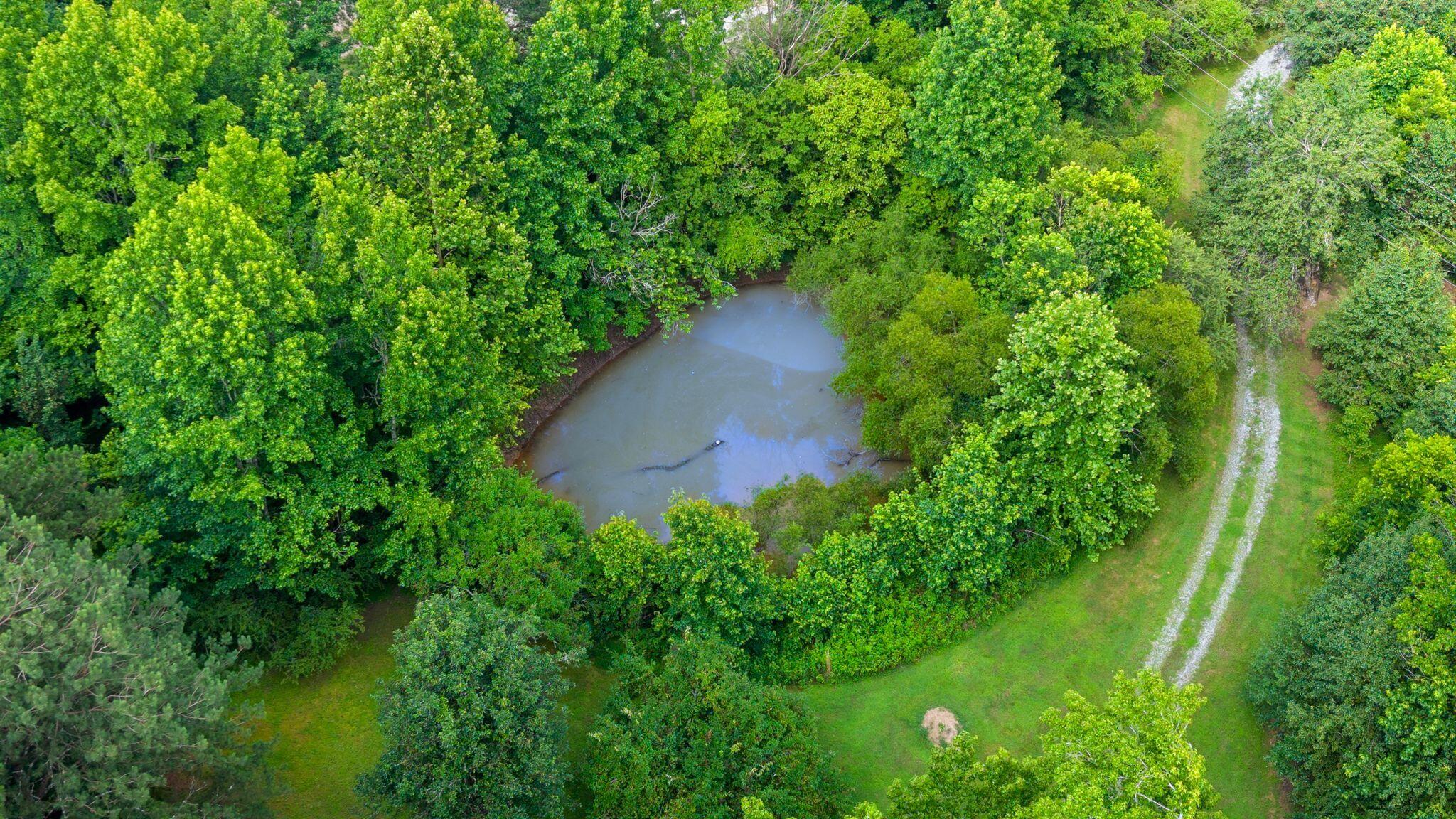 3612 Bill Jones Road