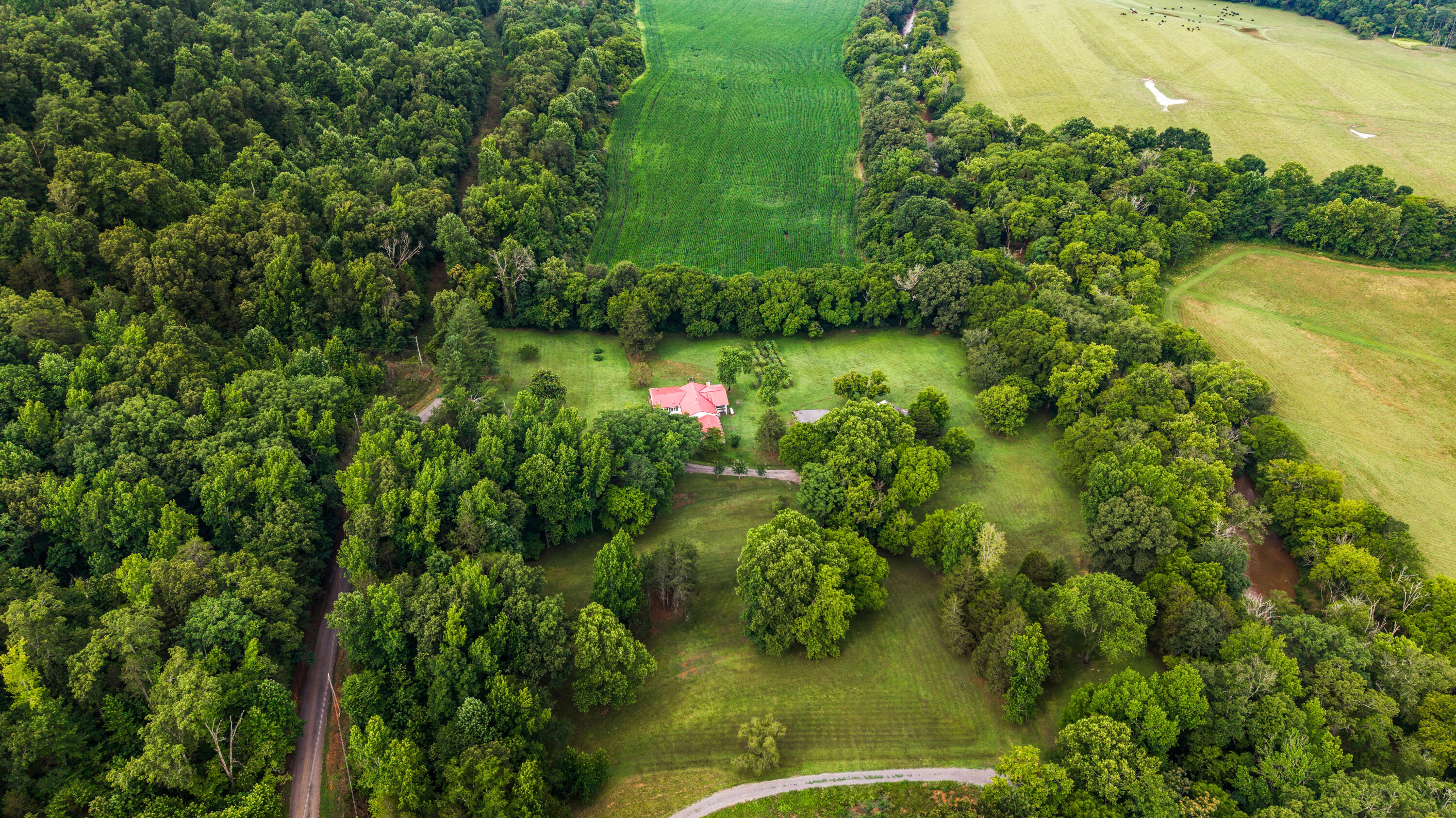 49 Hart Of Pine Road