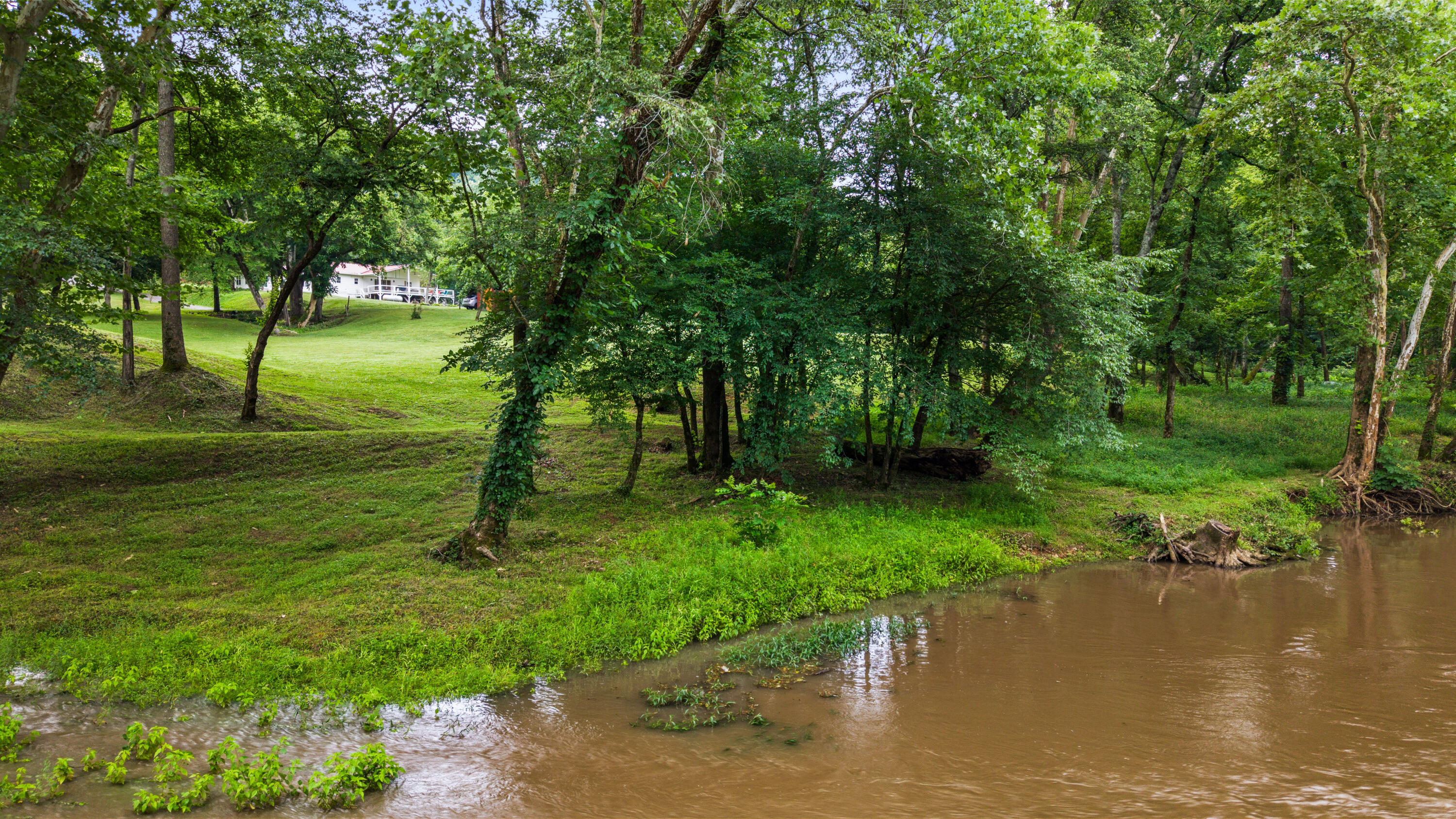 49 Hart Of Pine Road
