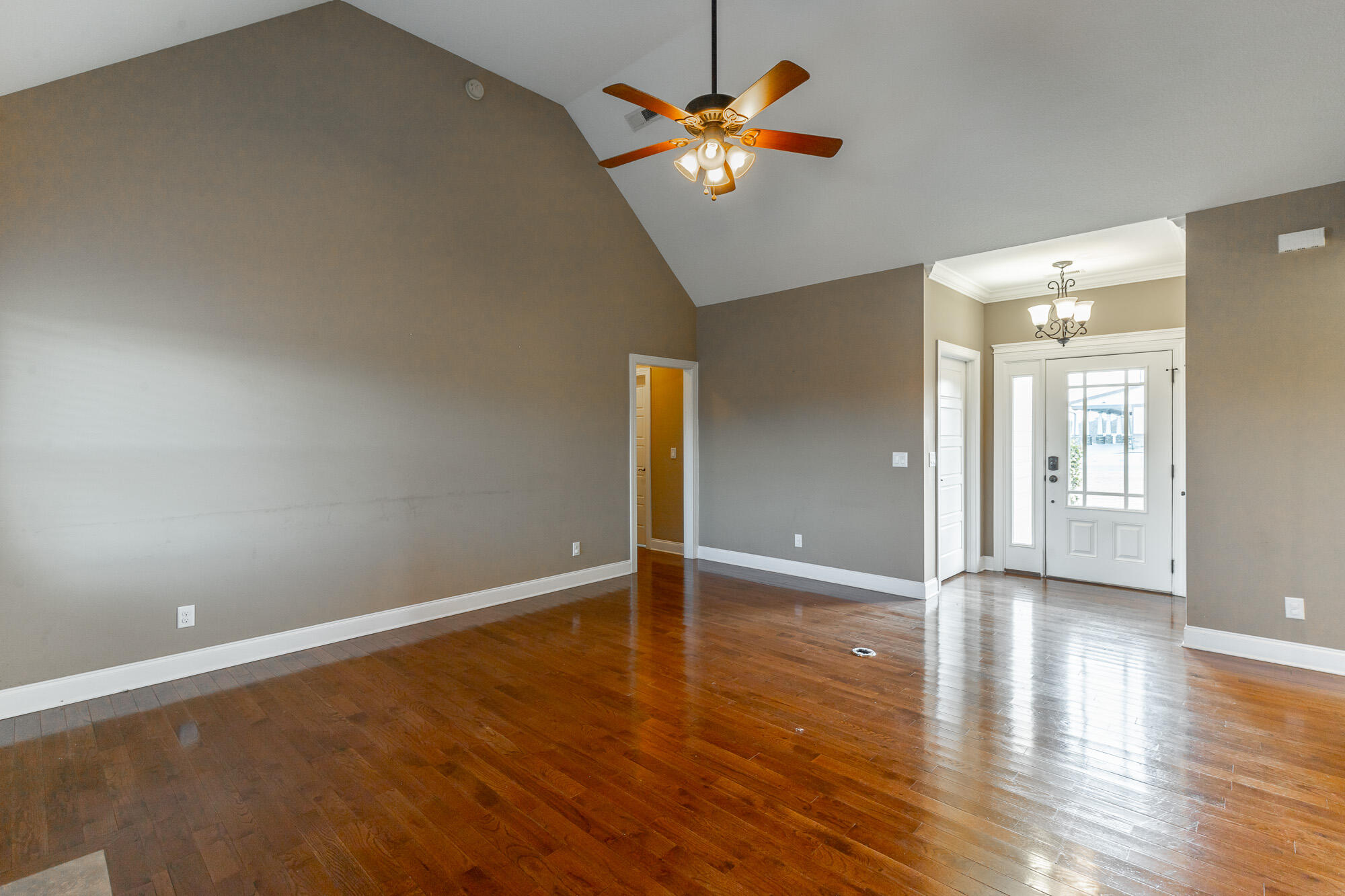 151 Holly Oak Lane