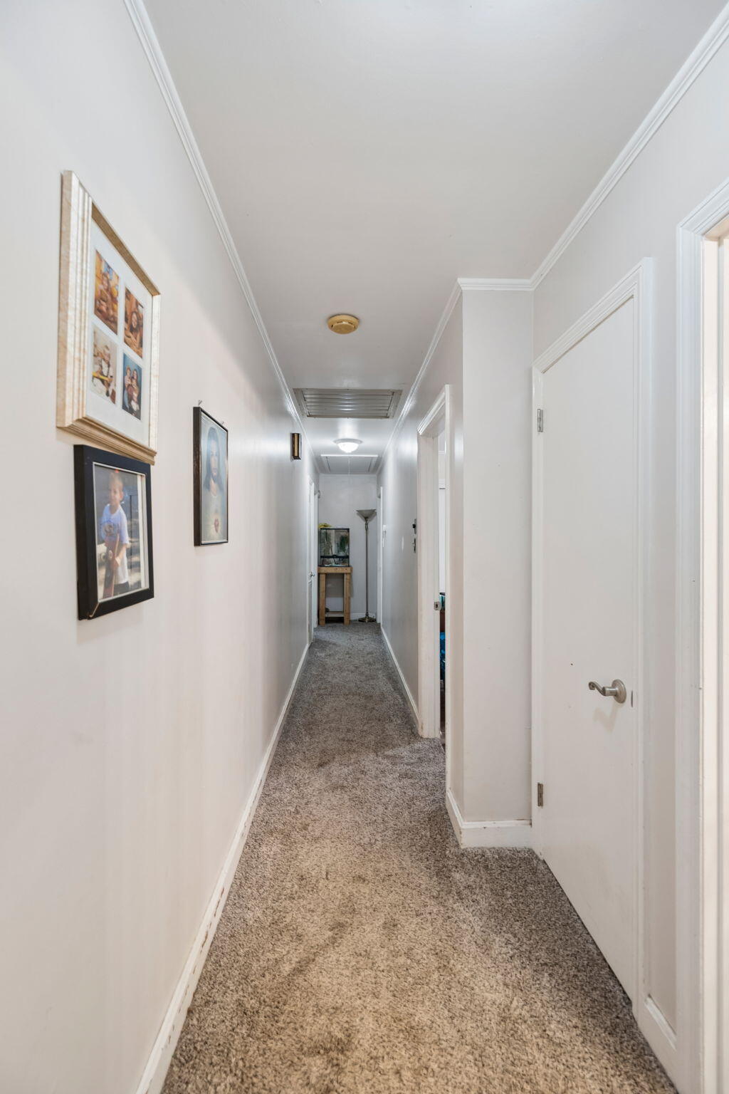 310 Curtis Road