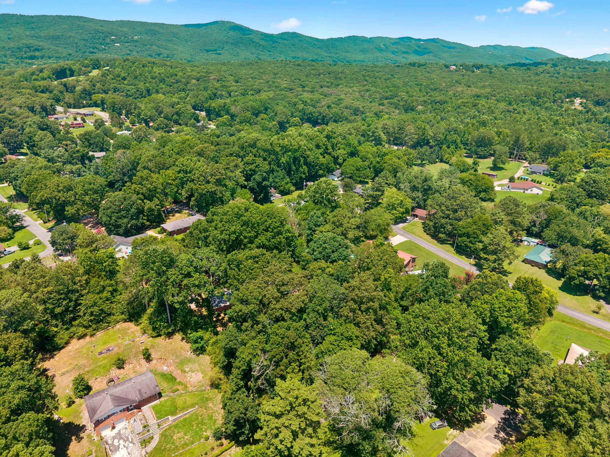 310 Curtis Road