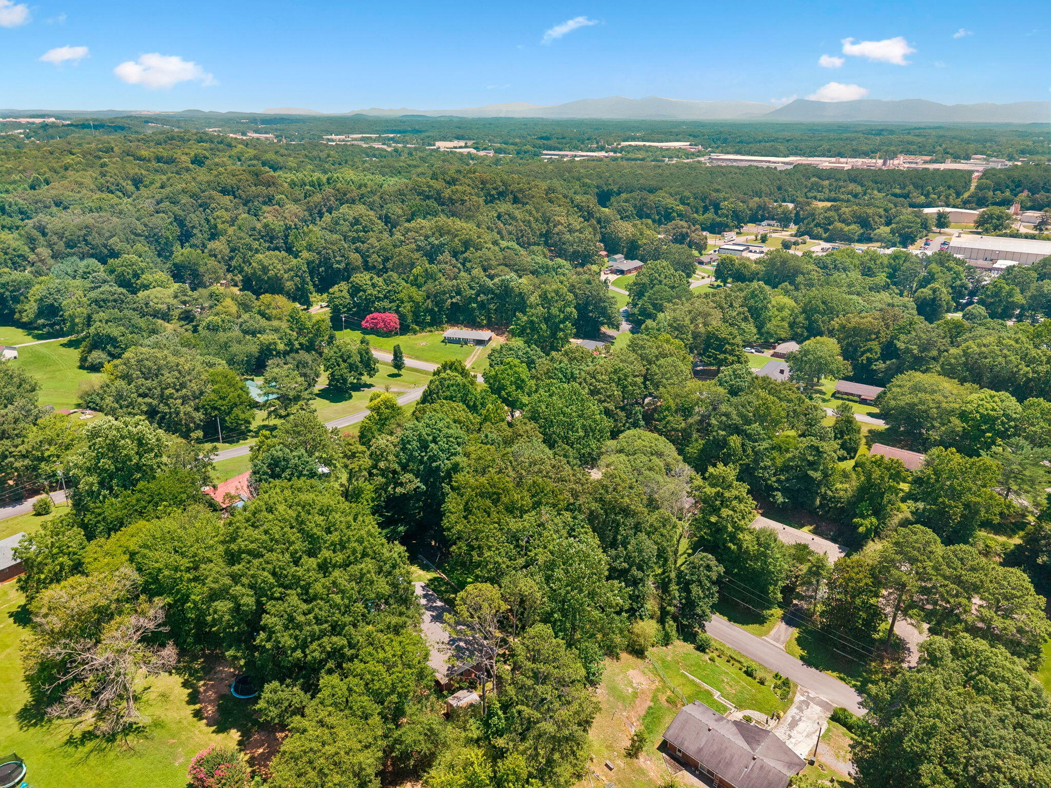 310 Curtis Road