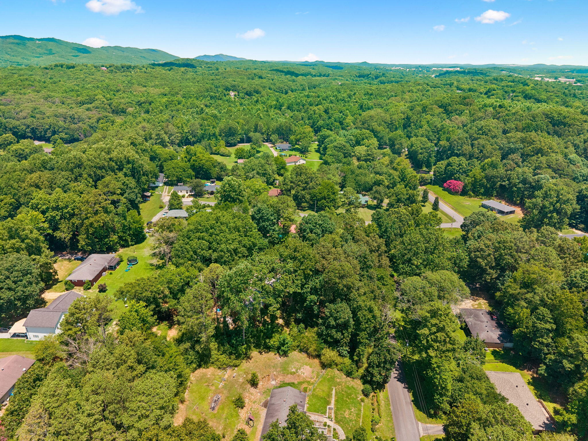 310 Curtis Road