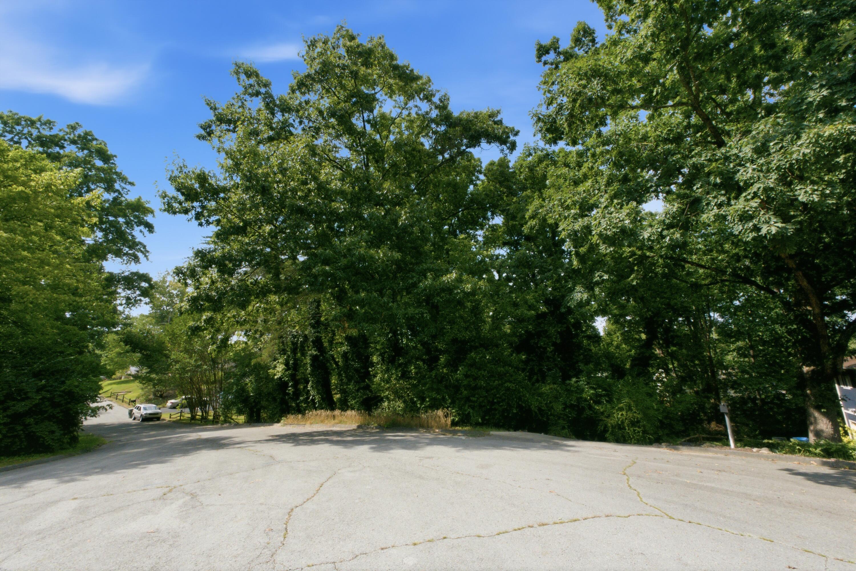 0 Mountain Wood Lane