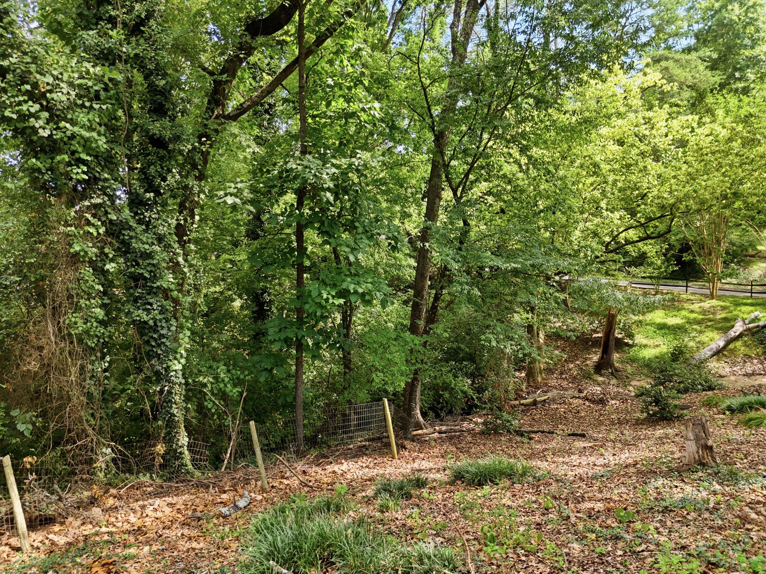 0 Mountain Wood Lane