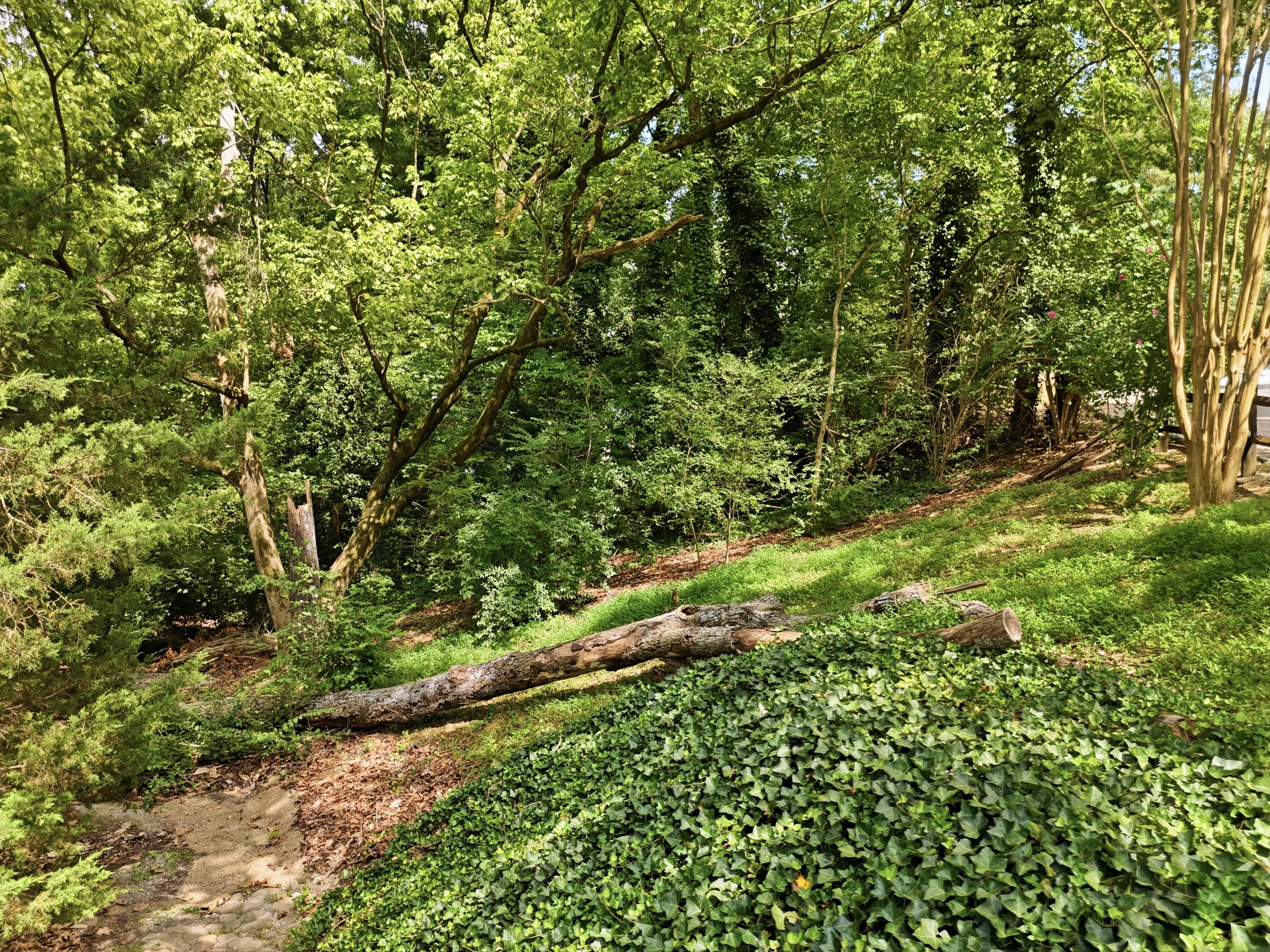 0 Mountain Wood Lane