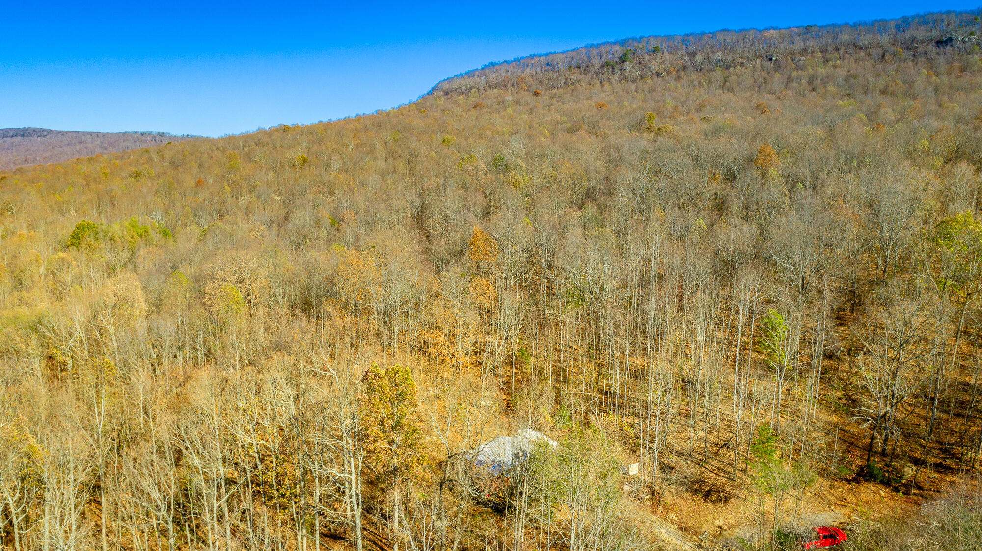 1111 Ditch Gap Road