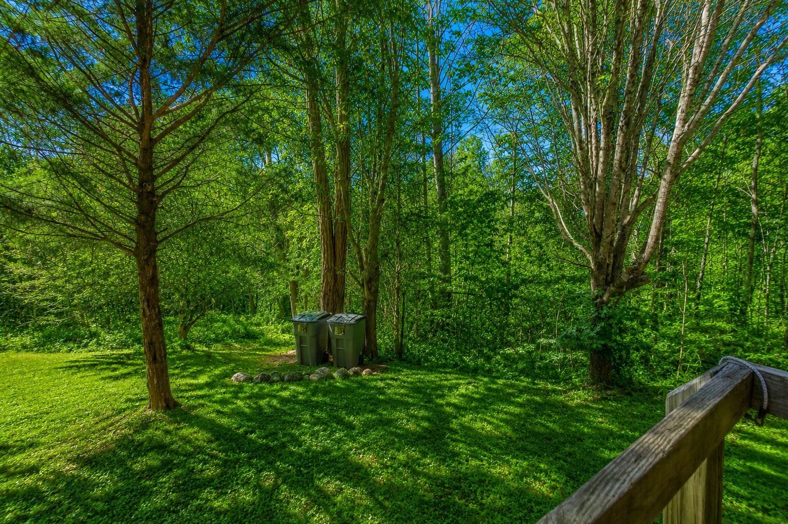 1111 Ditch Gap Road