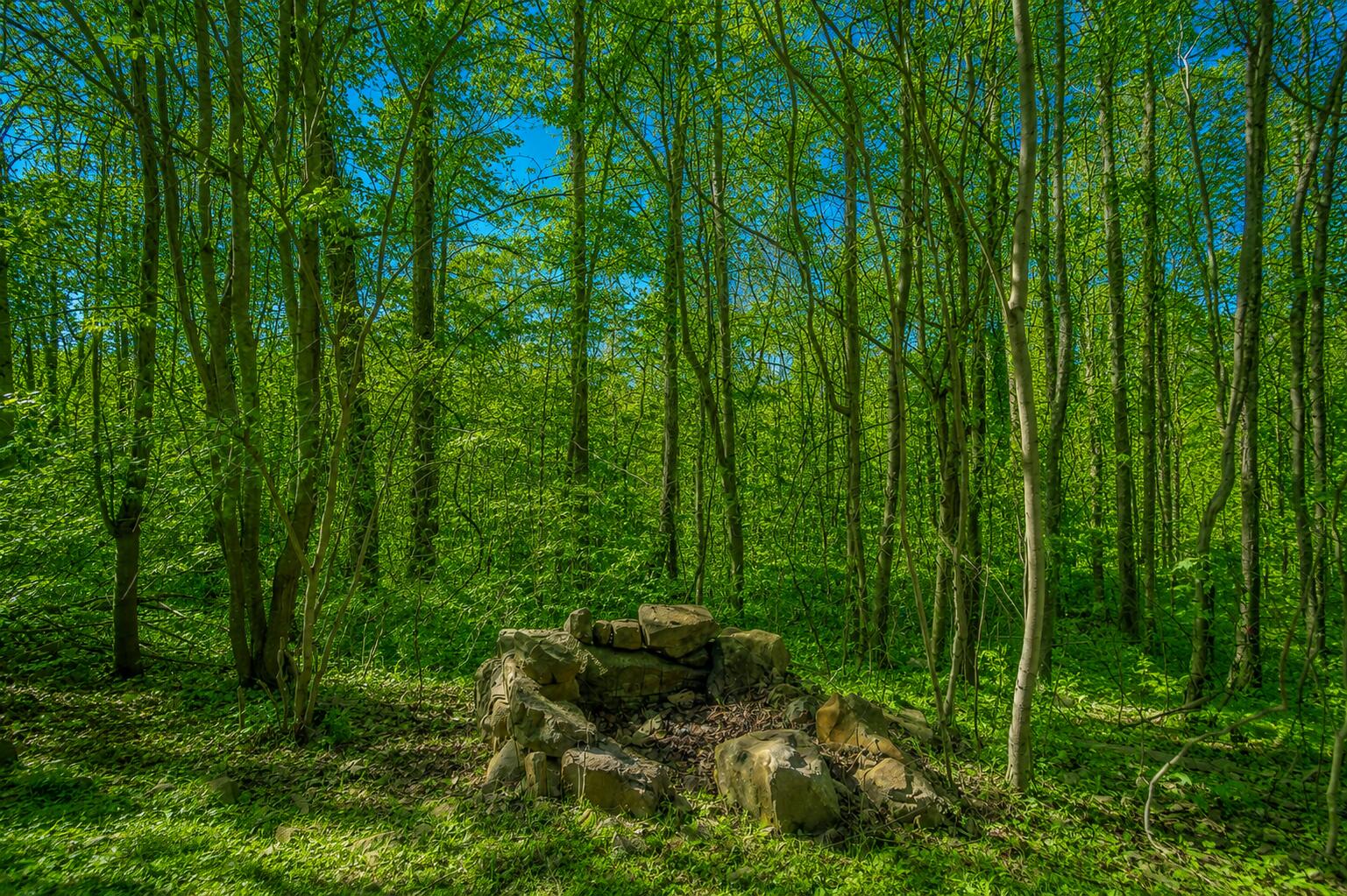 1111 Ditch Gap Road