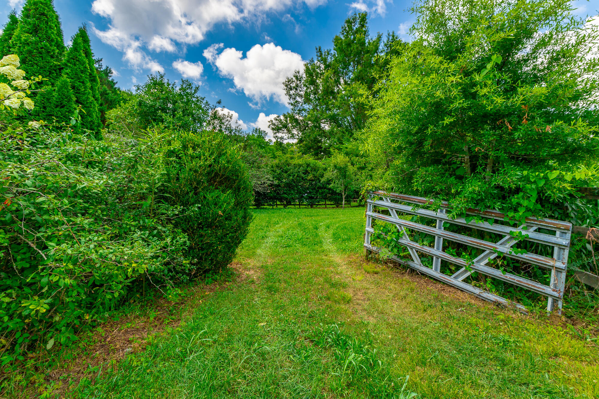 1581 Graysville Road