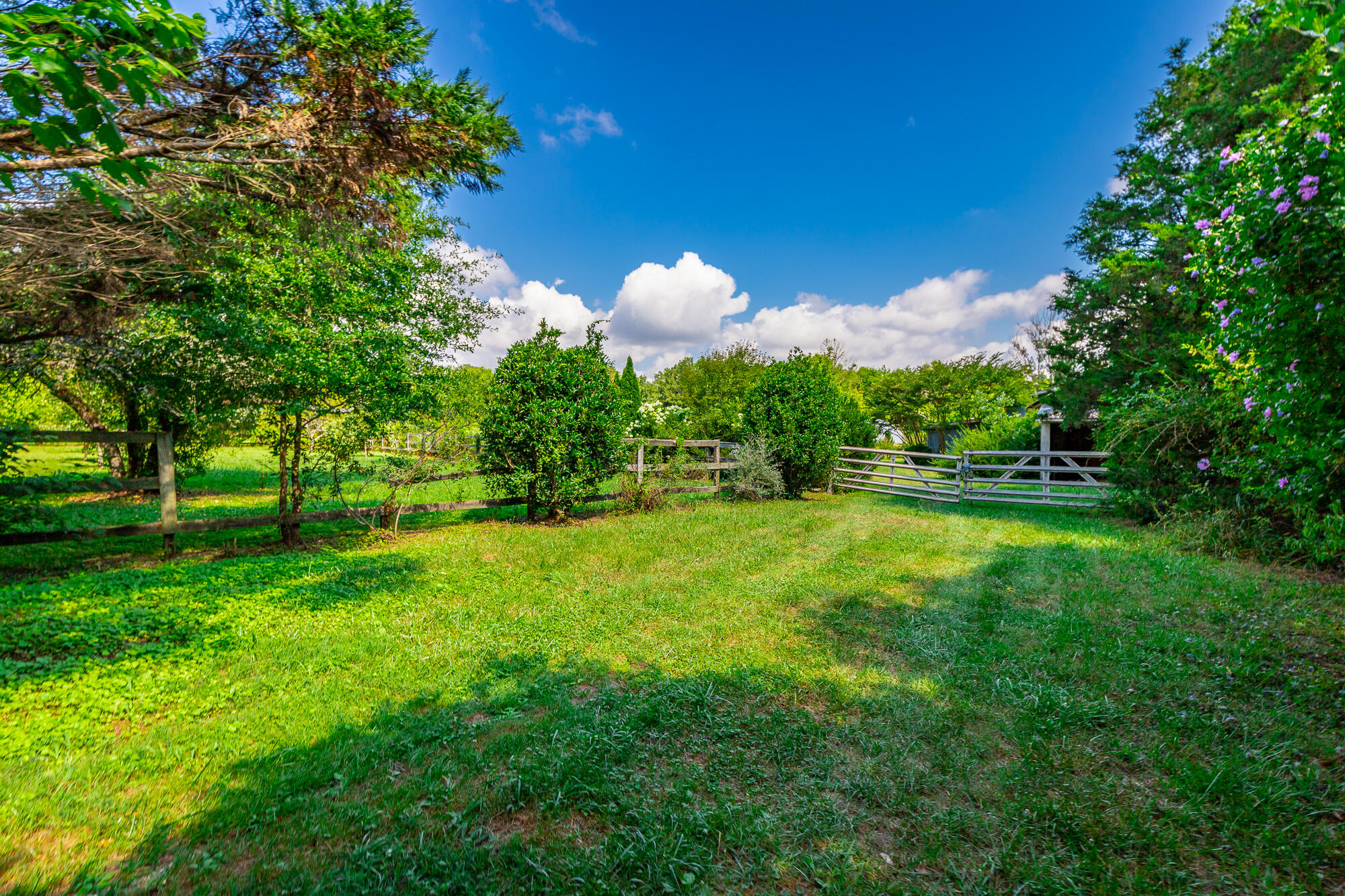 1581 Graysville Road