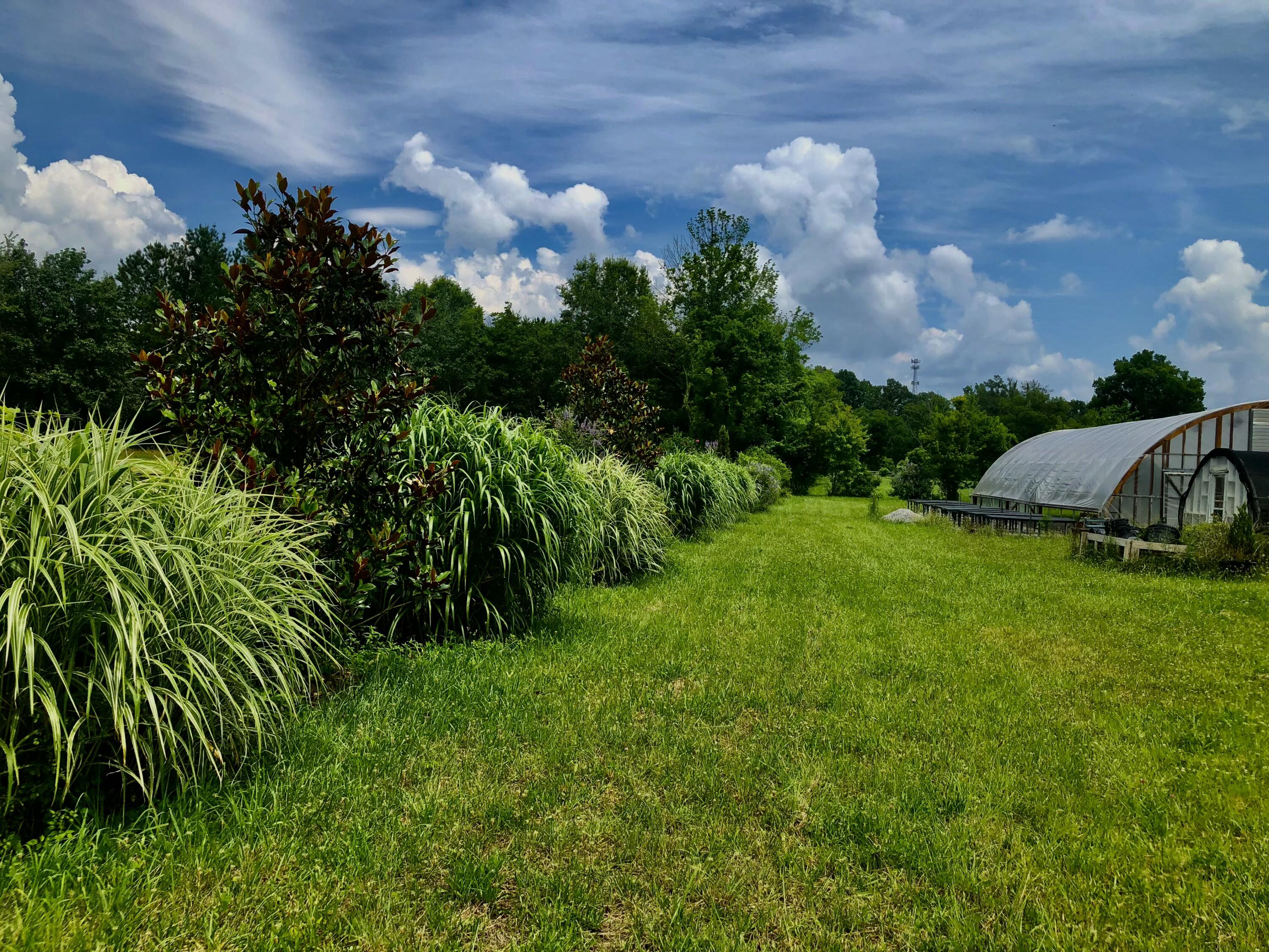 1581 Graysville Road