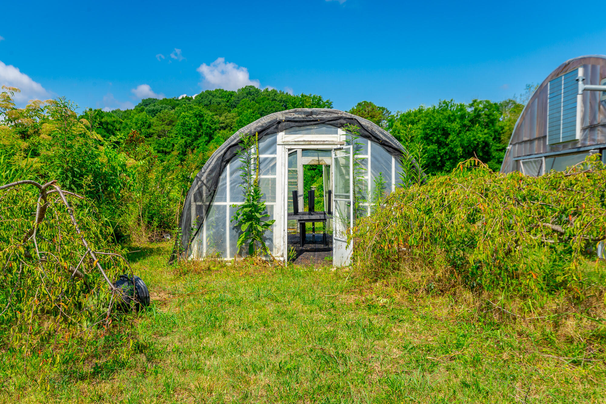 1581 Graysville Road