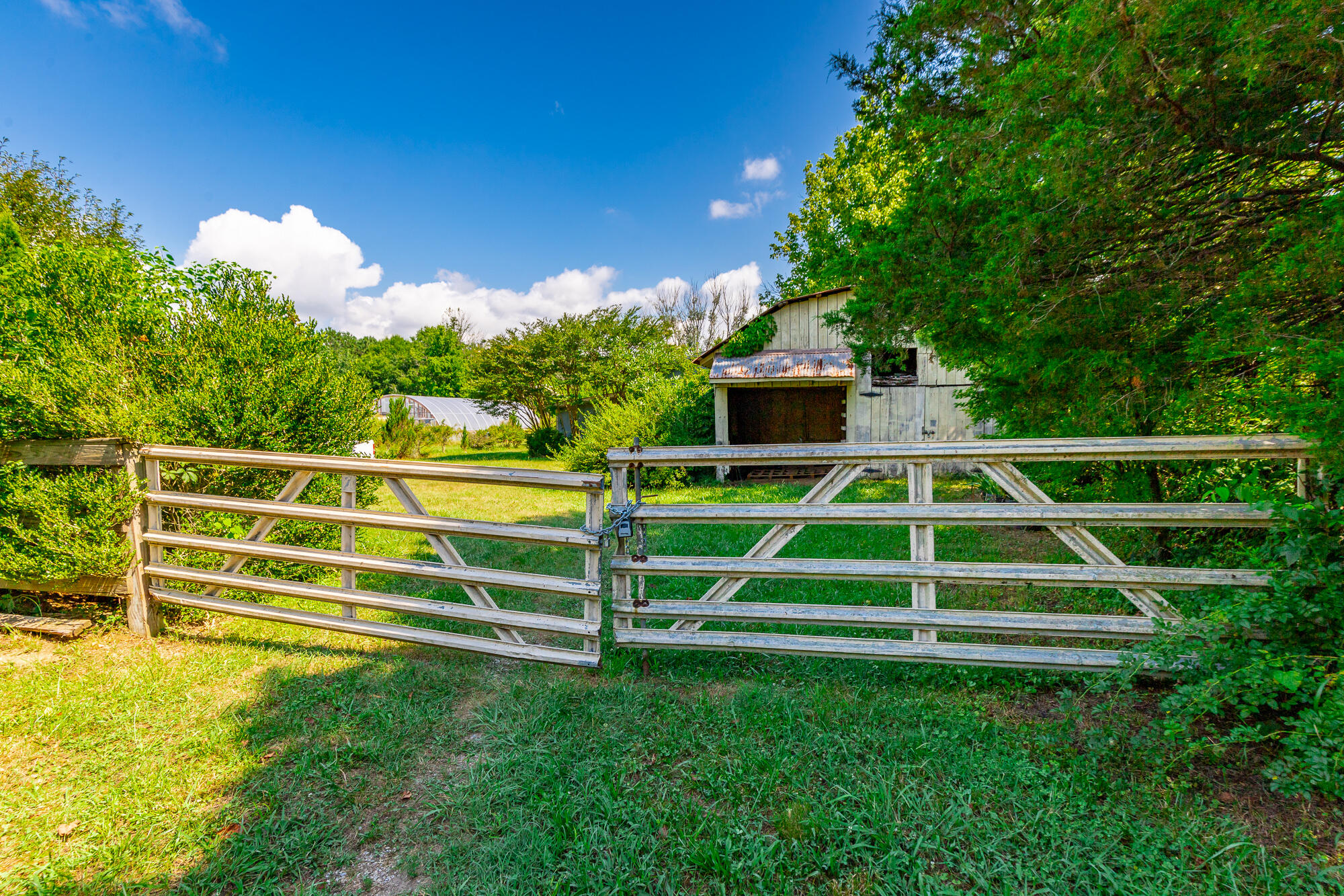 1581 Graysville Road