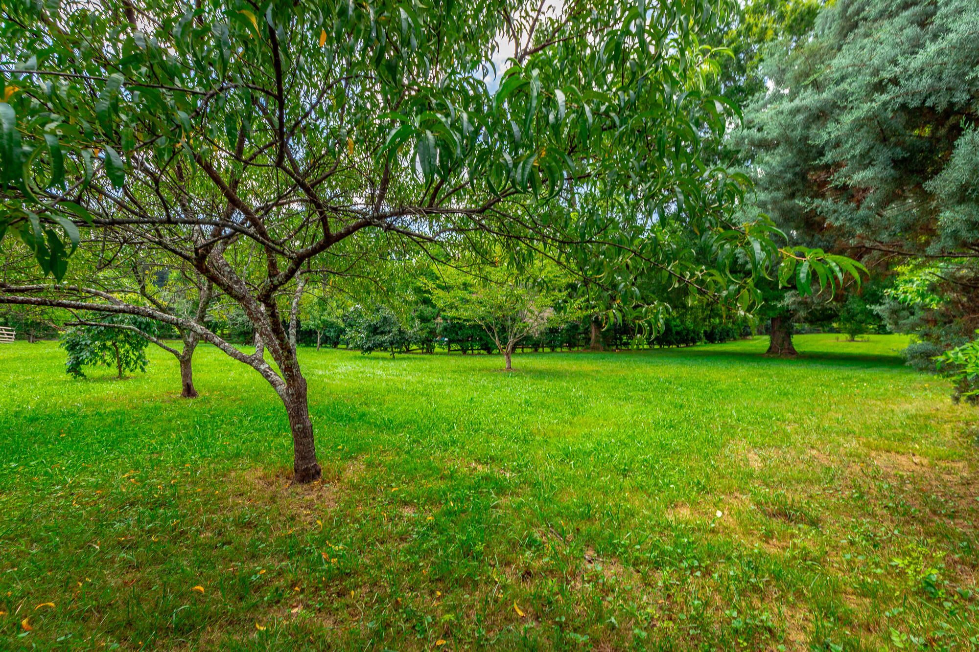 1581 Graysville Road
