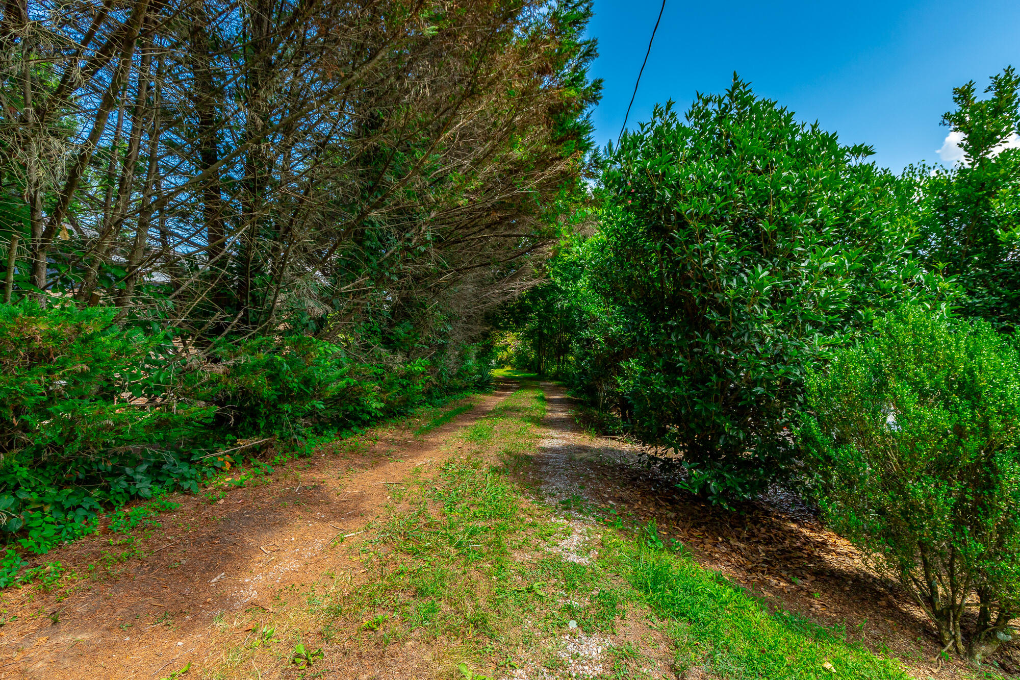 1581 Graysville Road