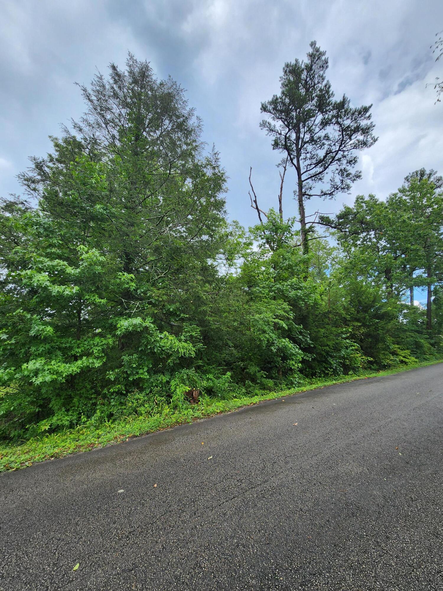 381 Patton School Road, 01