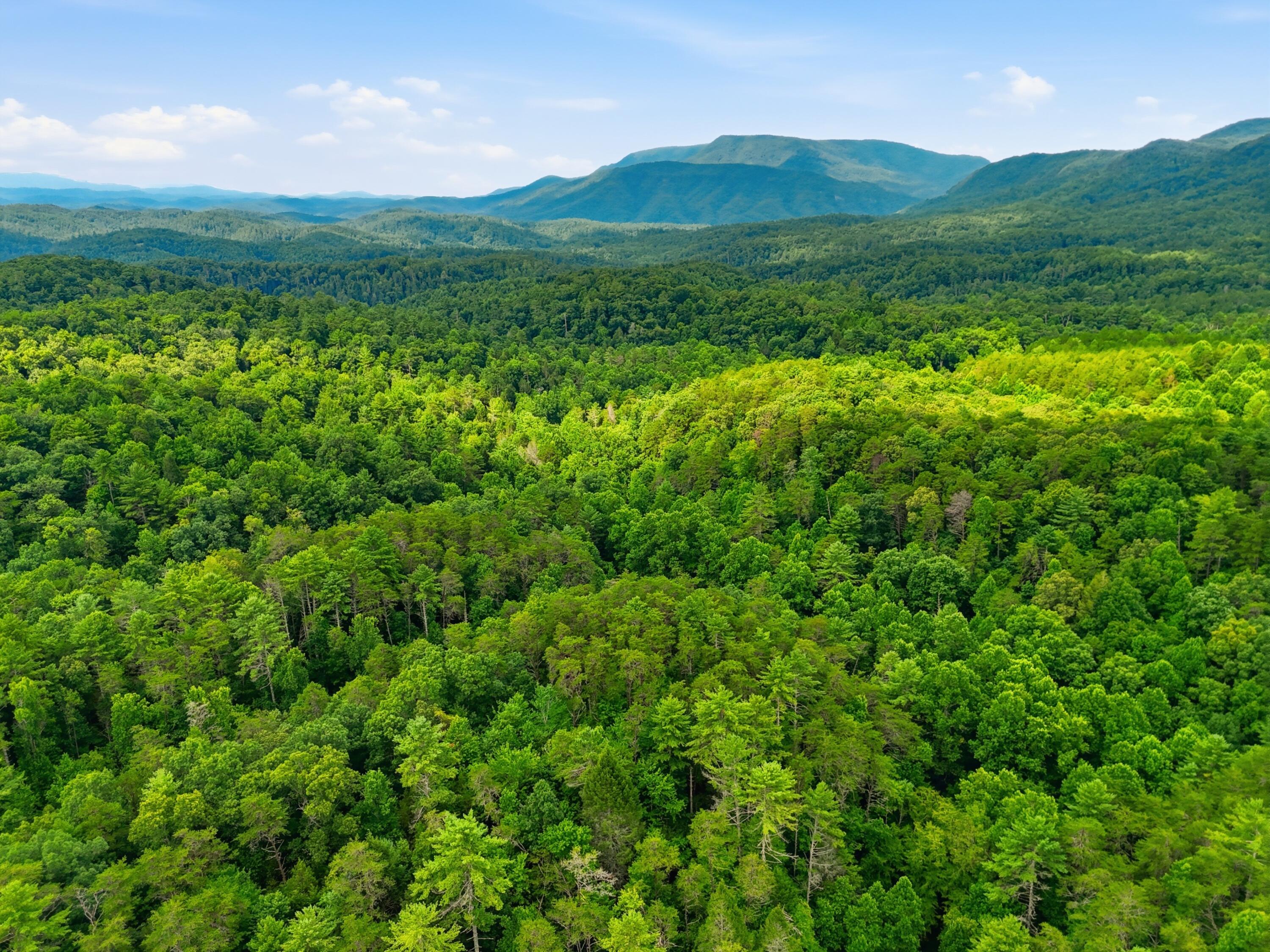2 Dog Hollow Road