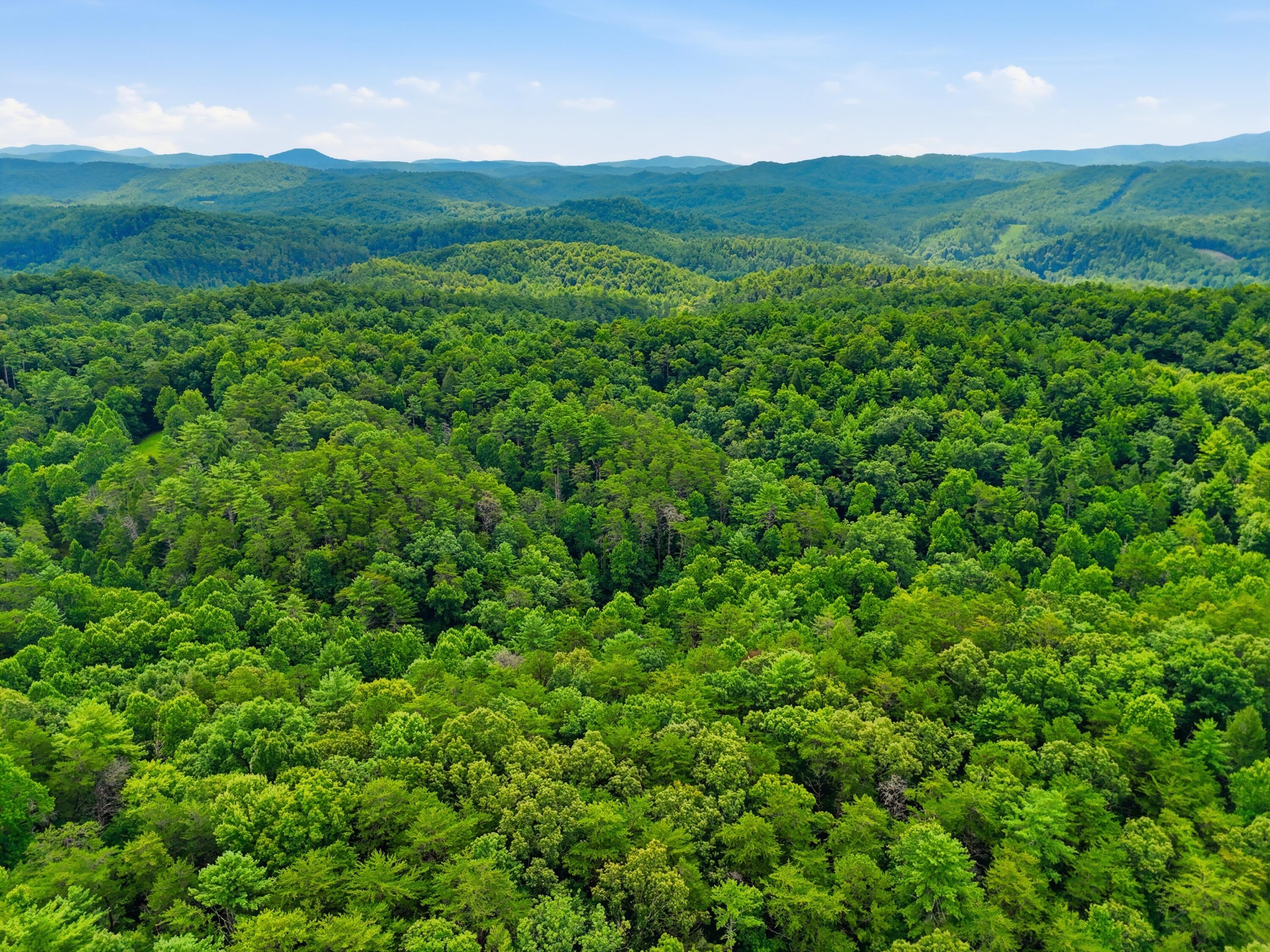 2 Dog Hollow Road
