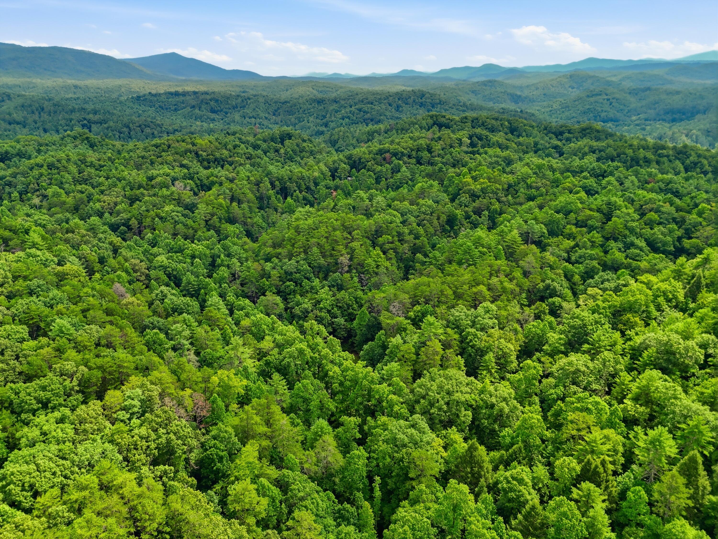 2 Dog Hollow Road