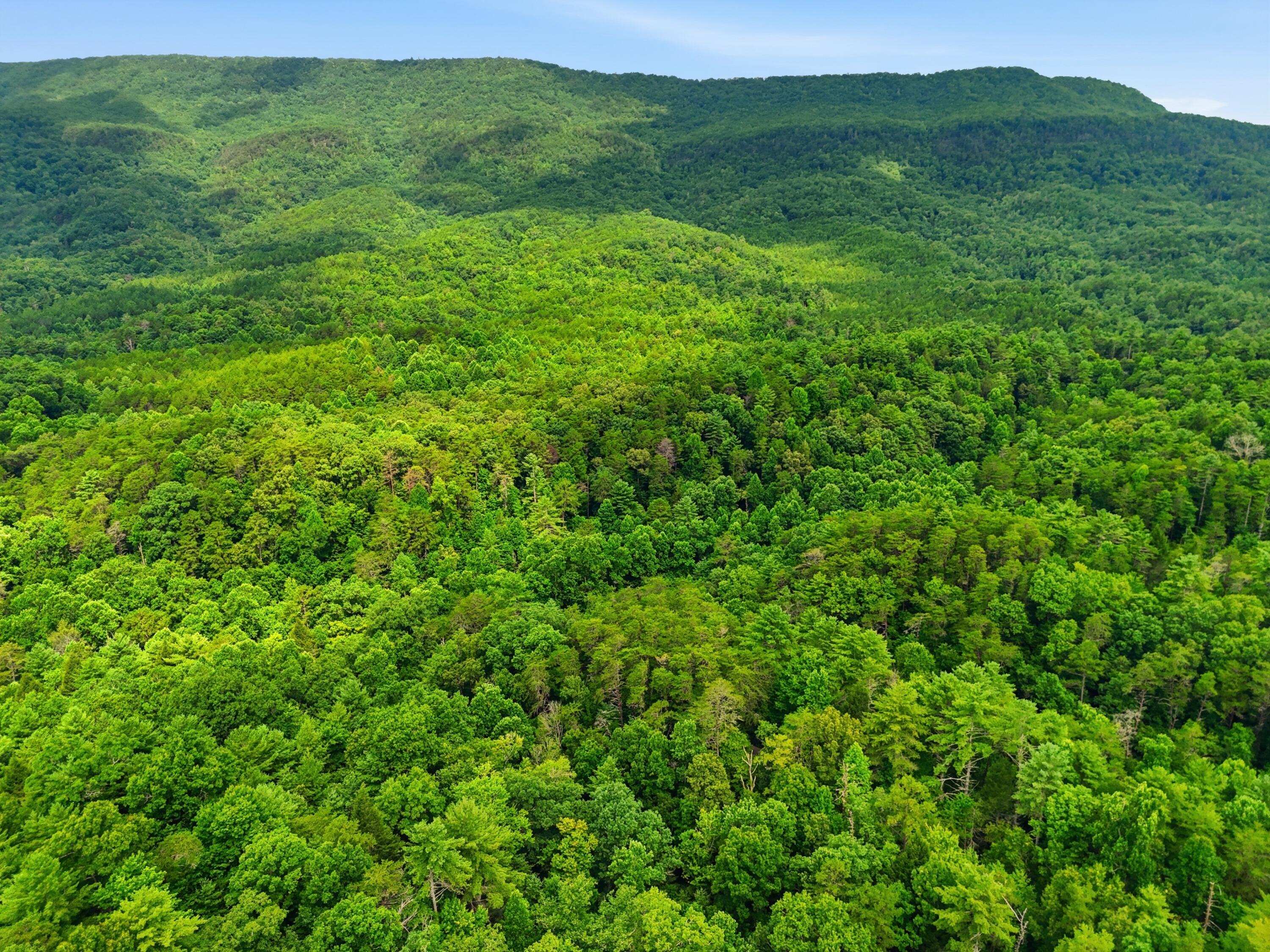 2 Dog Hollow Road