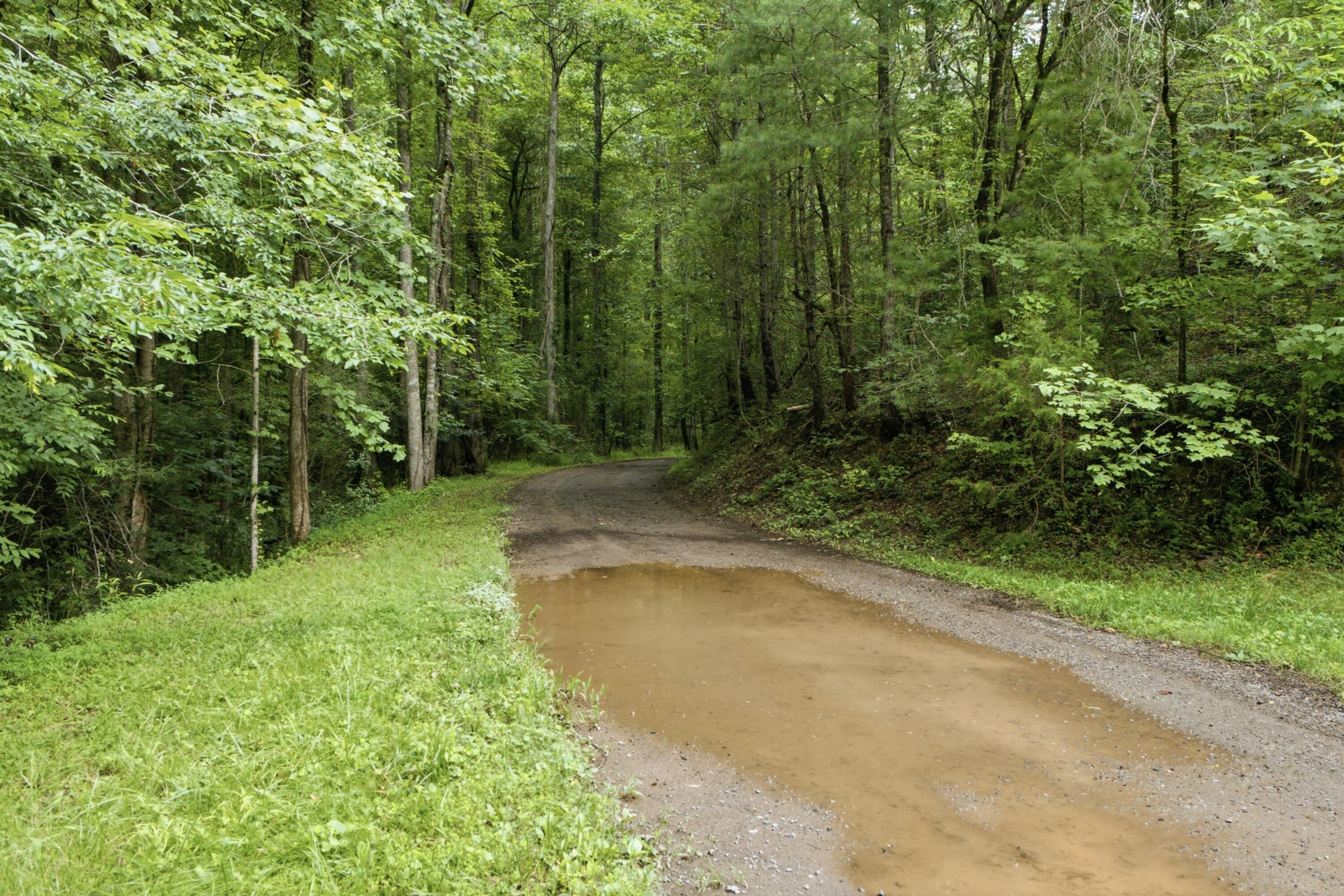 2 Dog Hollow Road