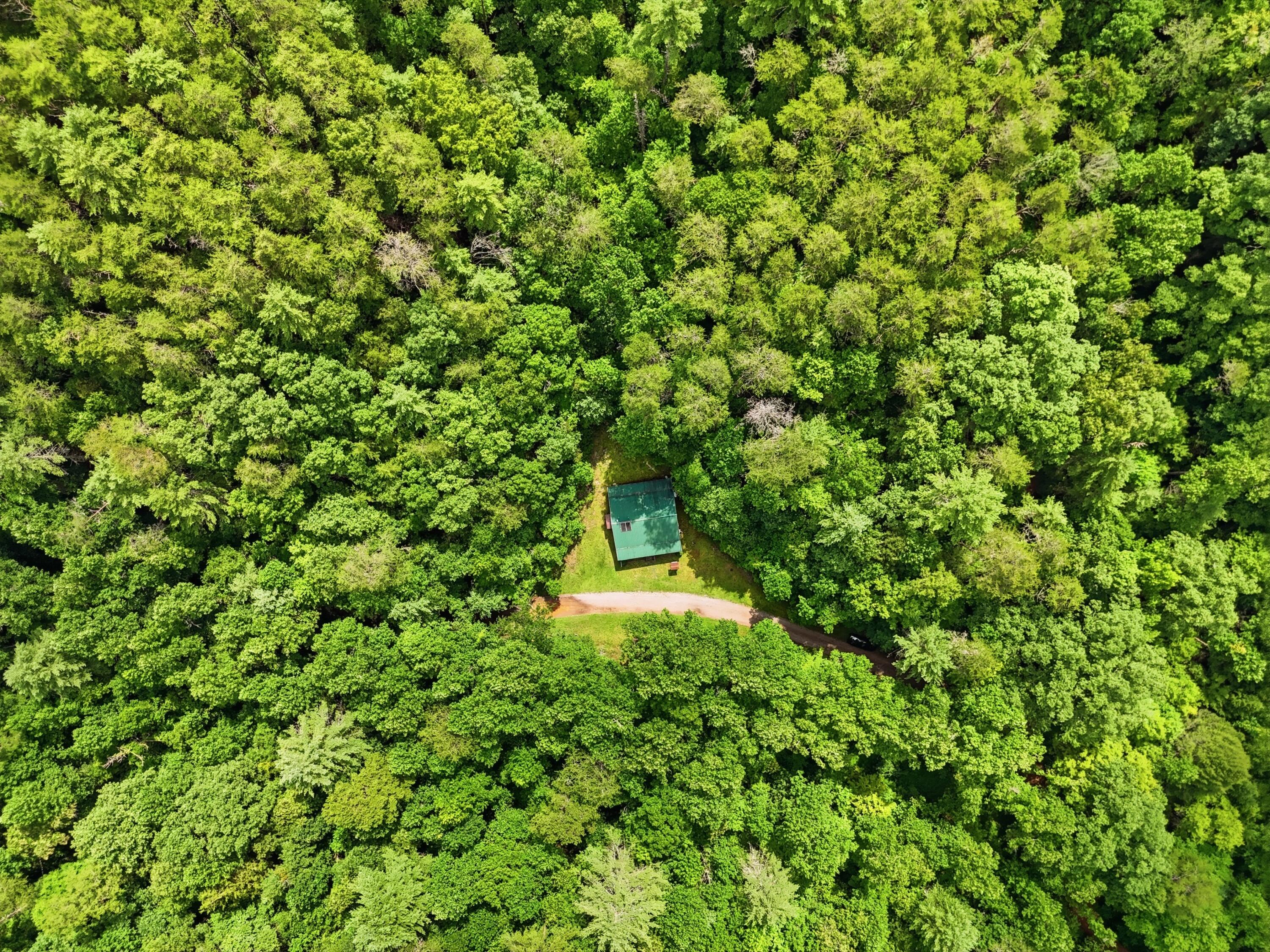 2 Dog Hollow Road