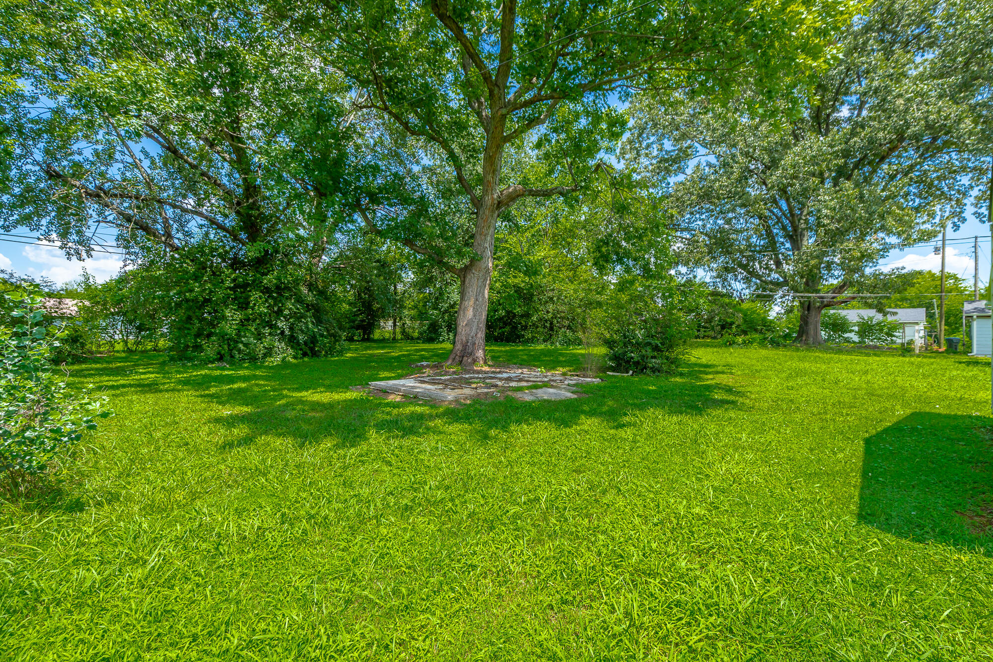 2115 Delano Drive