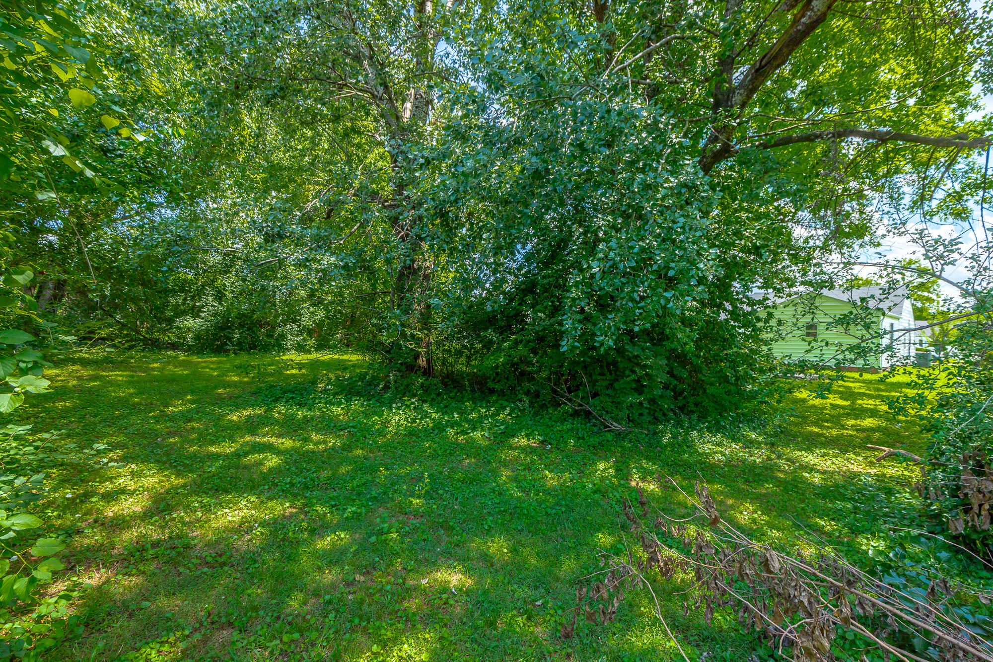 2115 Delano Drive
