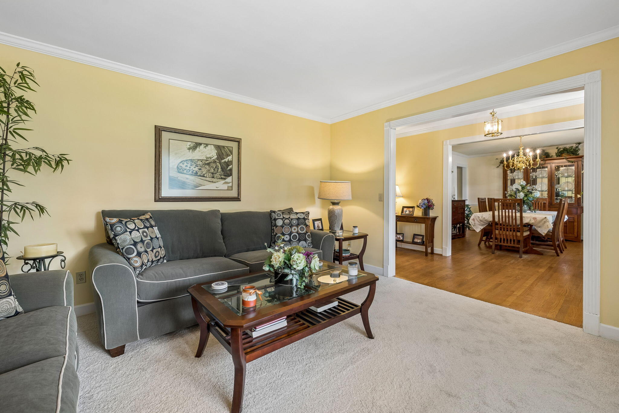 605 Stonebrook Drive