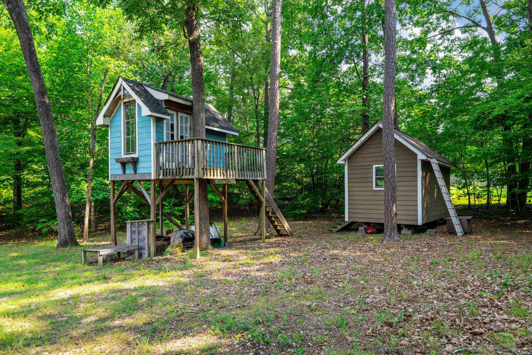 409 Olivia Lane