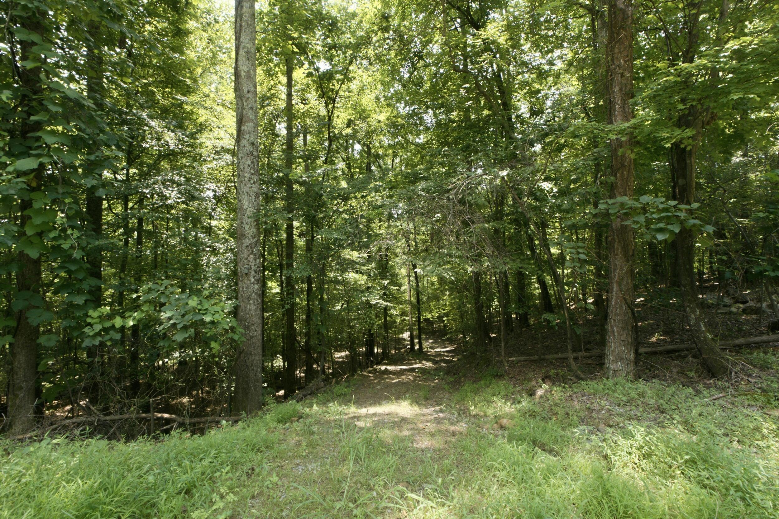 1800 S Pittsburg Mountain Road