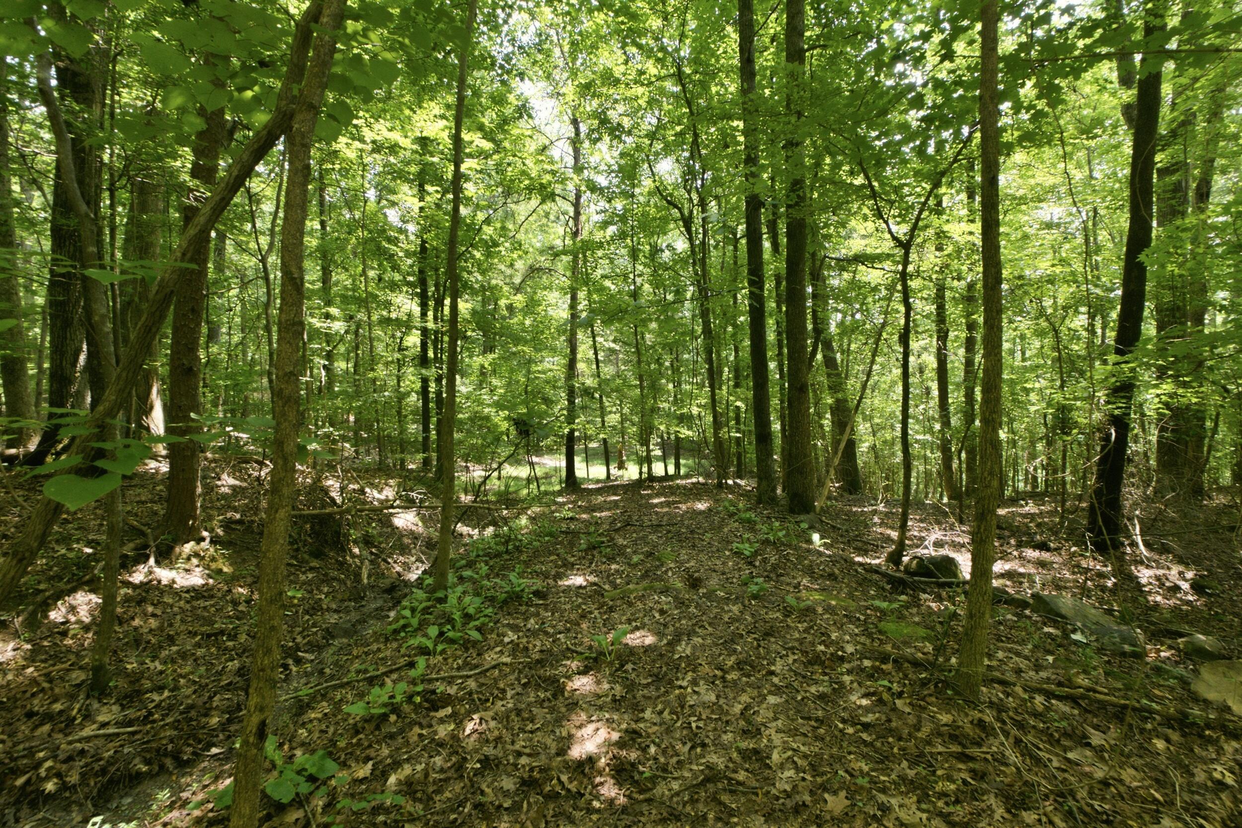 1800 S Pittsburg Mountain Road