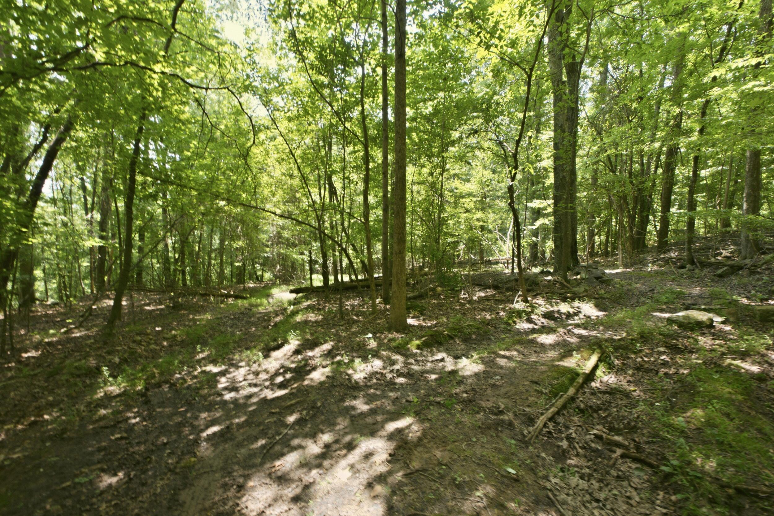 1800 S Pittsburg Mountain Road