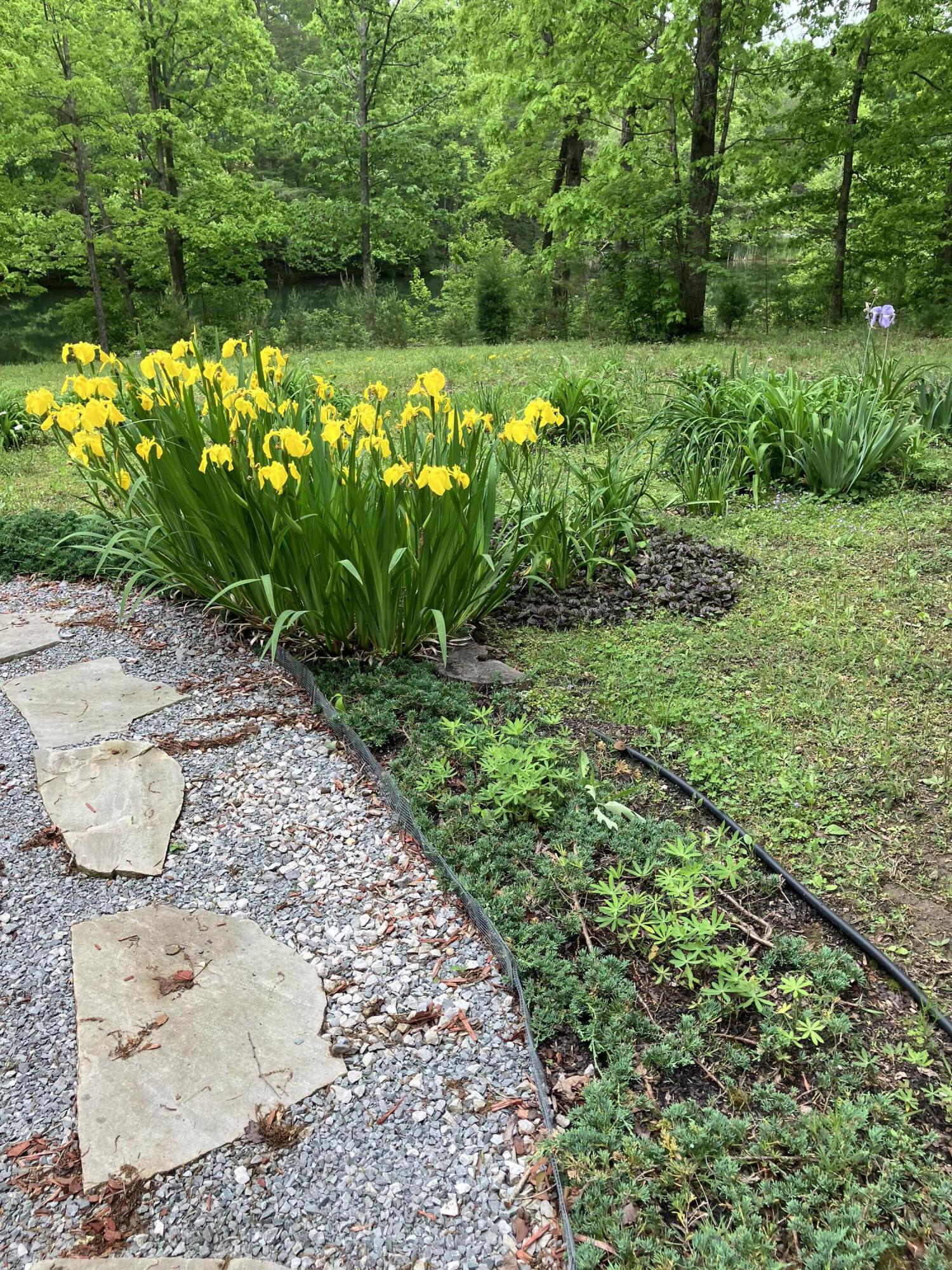 33 Eagle Nest Road