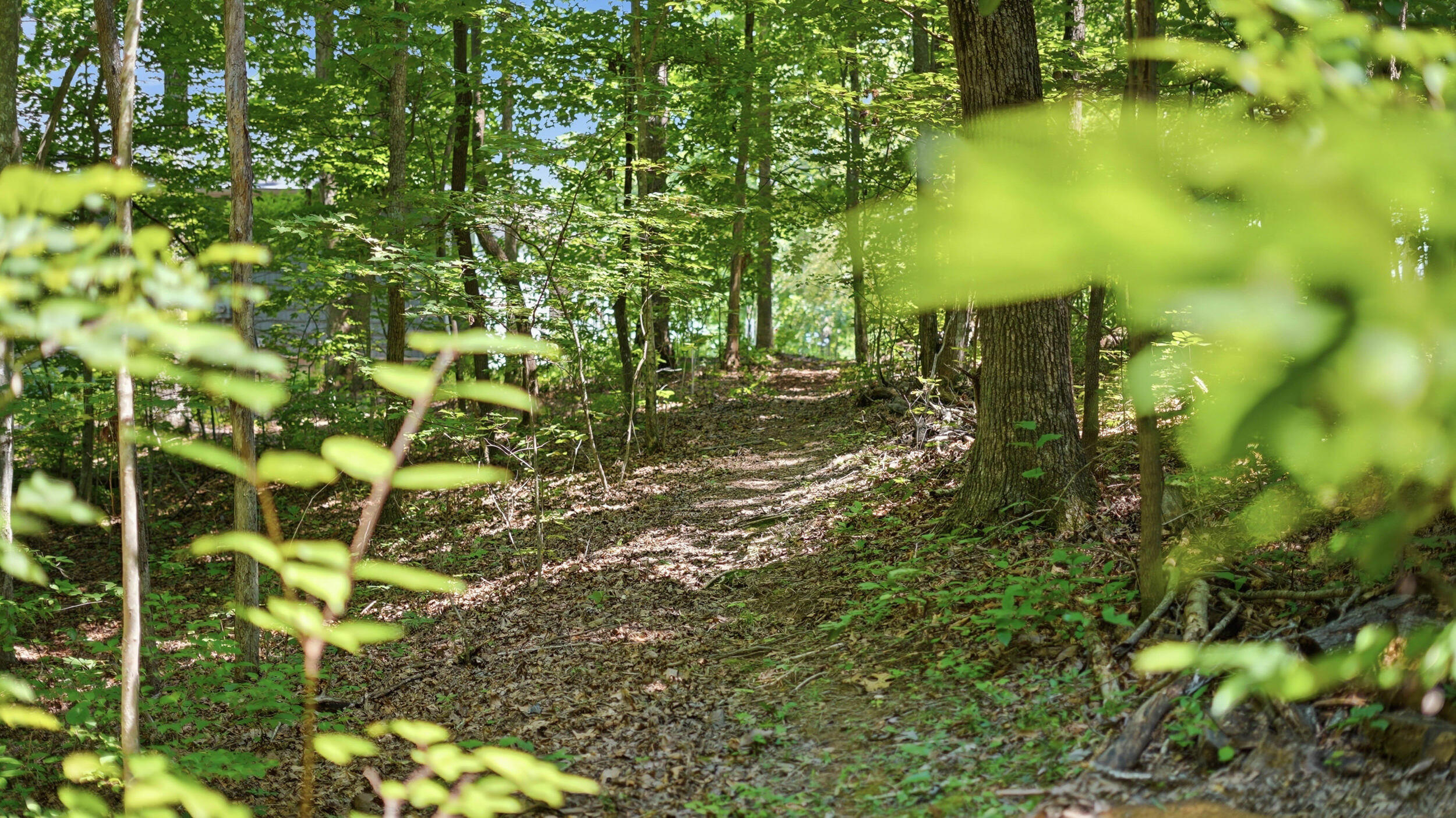 33 Eagle Nest Road