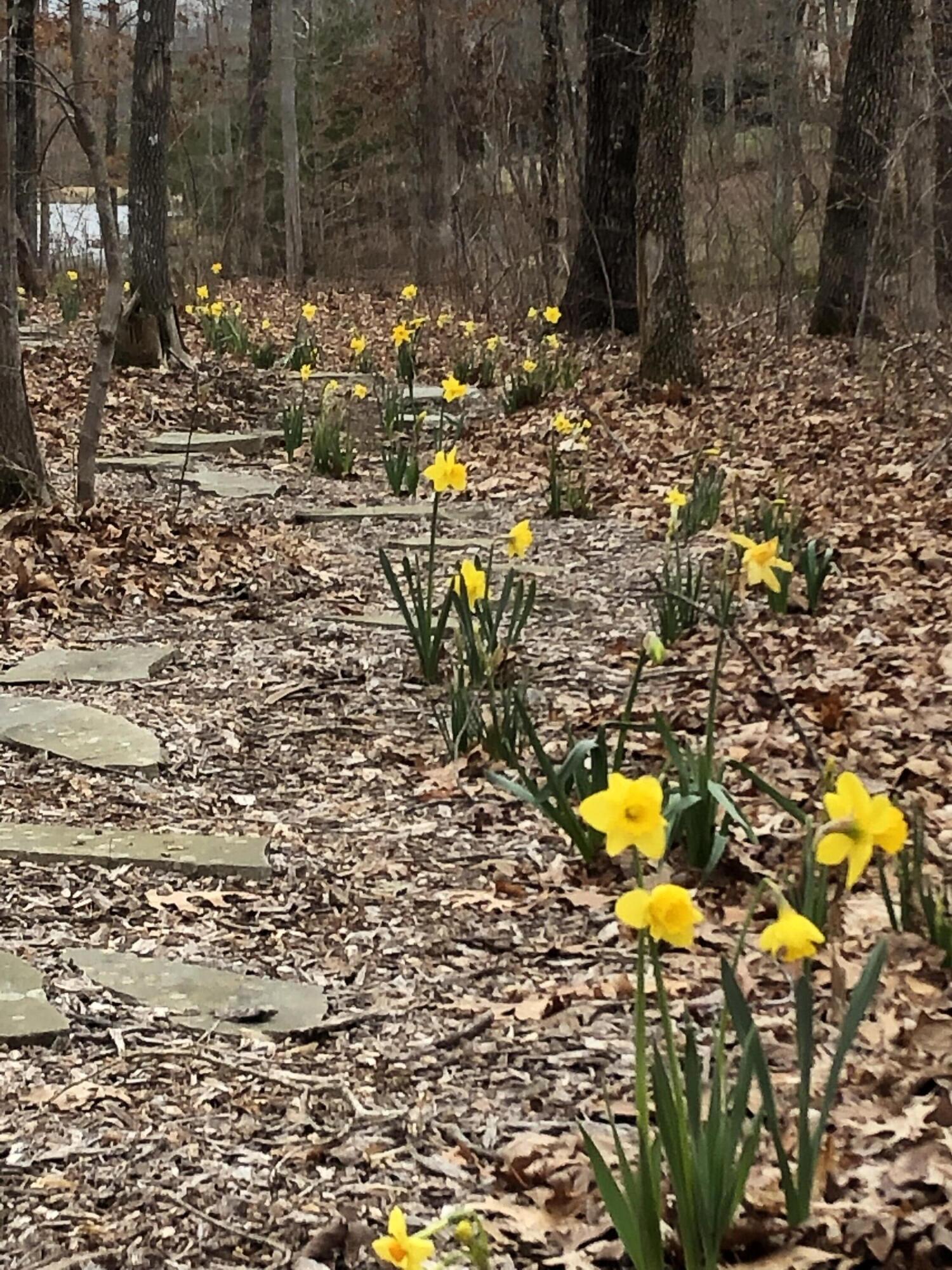 33 Eagle Nest Road