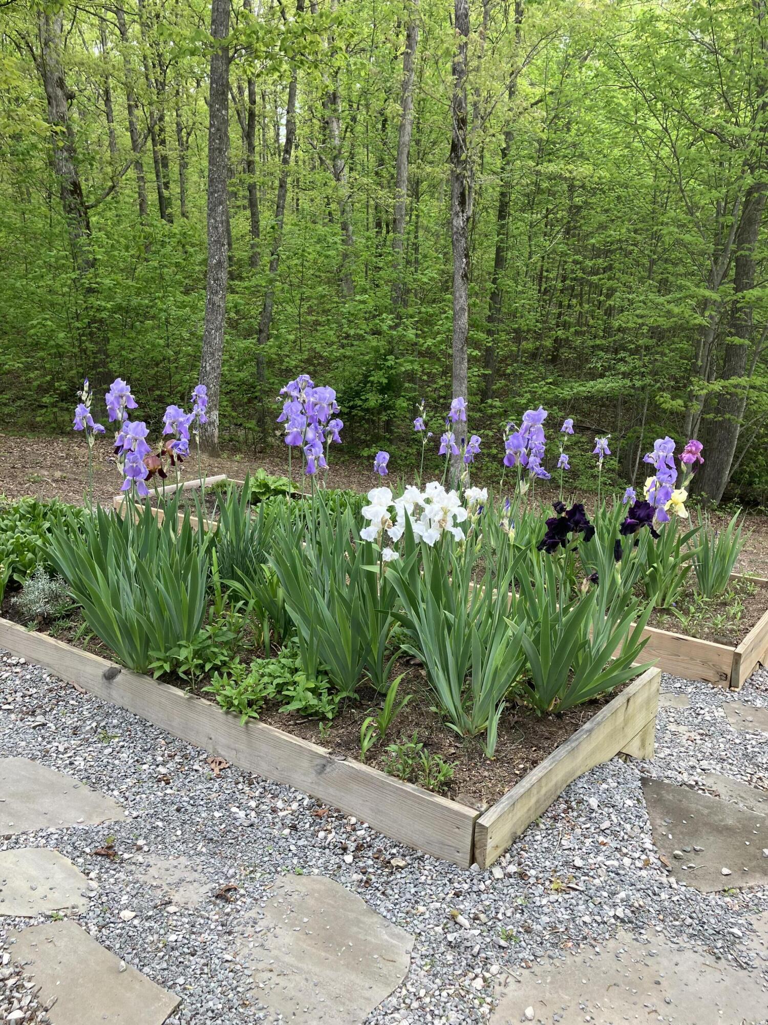 33 Eagle Nest Road