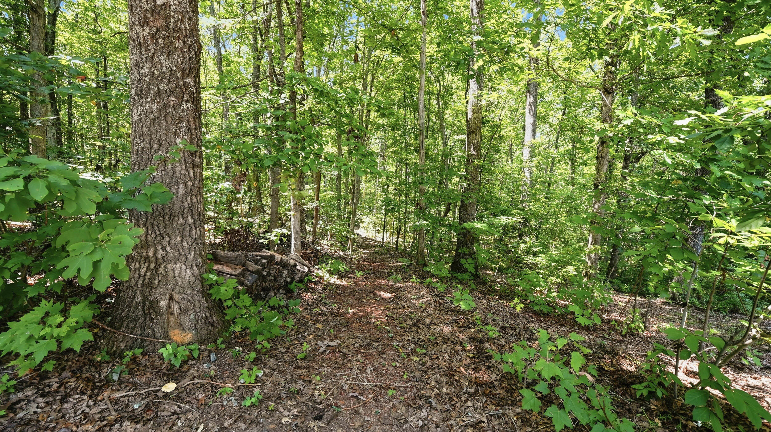 33 Eagle Nest Road